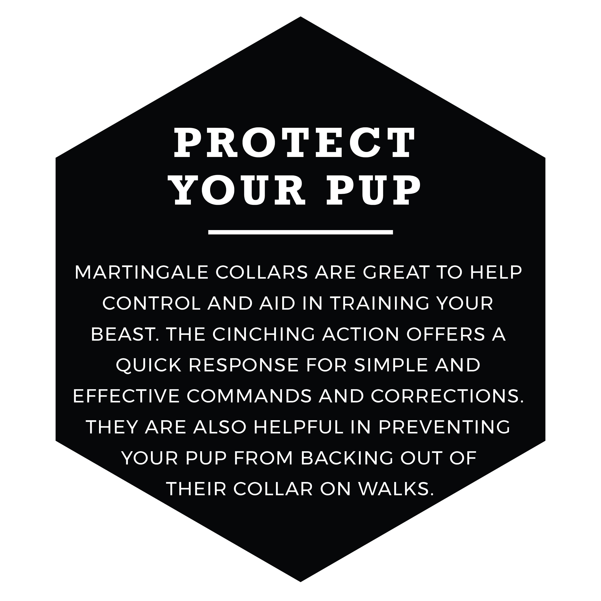 Wolfgang Heavy Duty Martingale Dog Collar With Quick Release Nylon Buckle For Walking & Training, Shattershapes Print, Medium