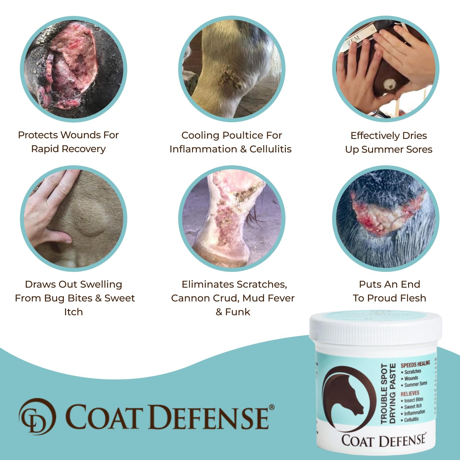 Coat Defense Trouble Spot Drying Paste For Horses - Natural Equine Wound Care That Provides Safe & Effective Relief From Scratches, Sweet Itch, Summer Sores, Proud Flesh, Mud Fever, Girth Rot (10 Oz)