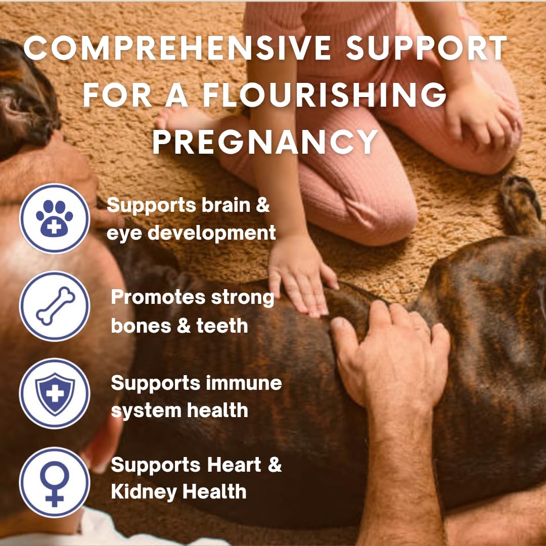 Omega 3 Fish Oil for Dogs & Cats | Dog Prenatal Vitamins | Joint Support | Brain & Heart Health | Pure EPA DHA Omega 3 for Dogs