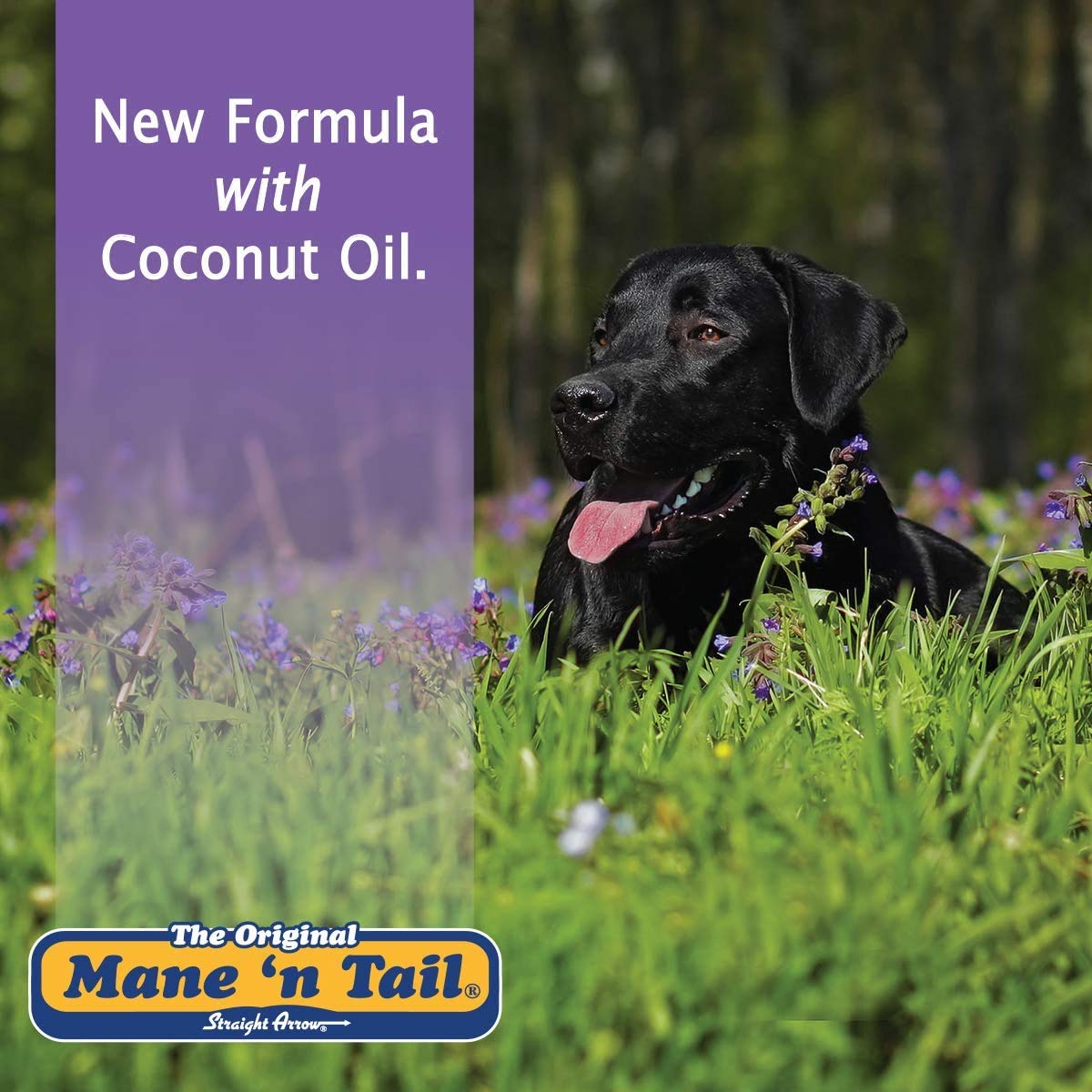 Mane 'N Tail Ultimate Gloss Combo Set (32 Oz) – Shampoo & Conditioner For Ultimate Shine, Volume, And Softness For Horses' Coat, Mane & Tail