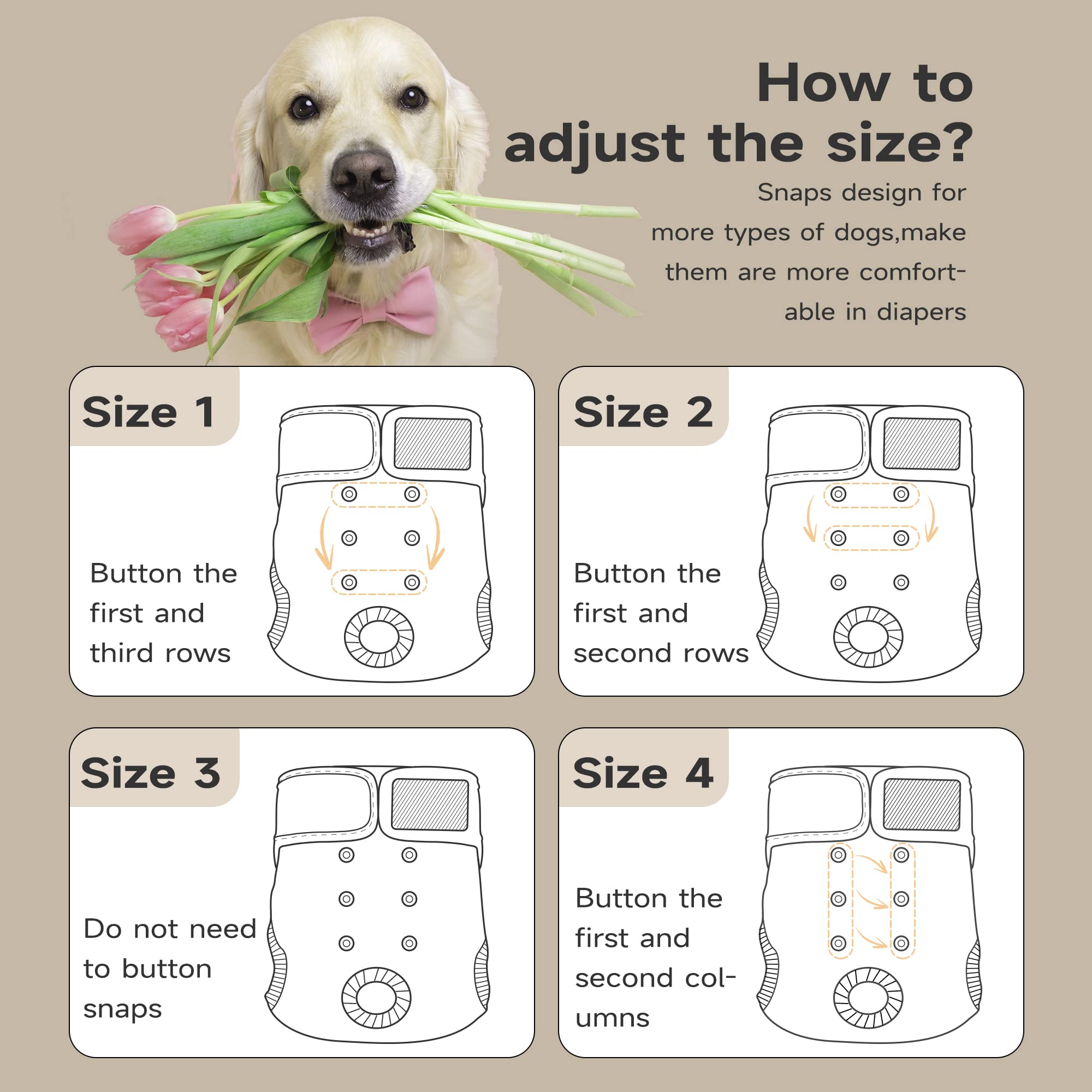 Paw Legend Washable Reusable Female Dog Diapers - No Leak Doggie Diapers For Heat Cycle (3 Pack,Black,X-Small)