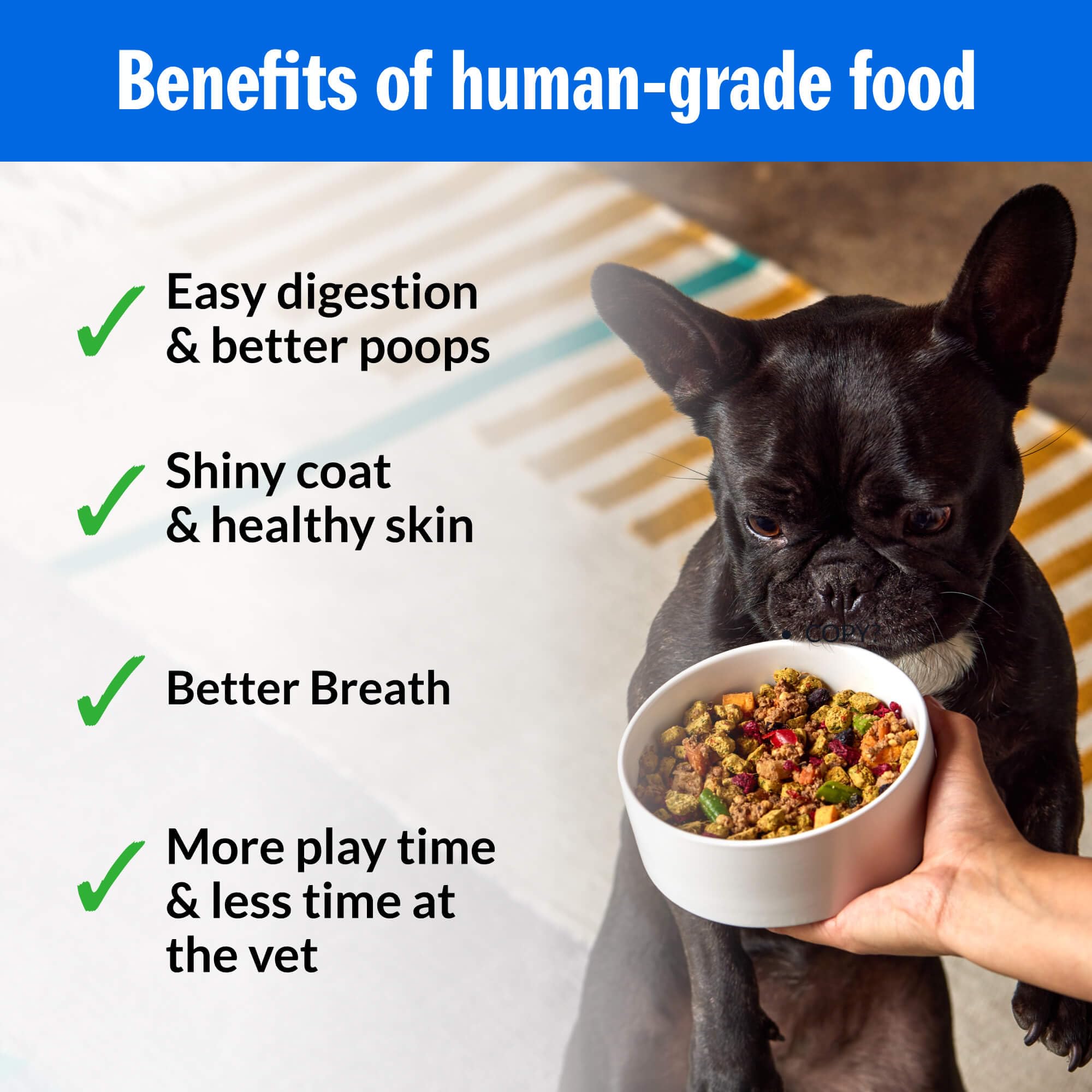 PetPlate Trail Blazin Beef FreshBaked Dry Dog Food Grain-Inclusive, Gently Baked and Air-Dried Human Grade Dog Food, Formulated