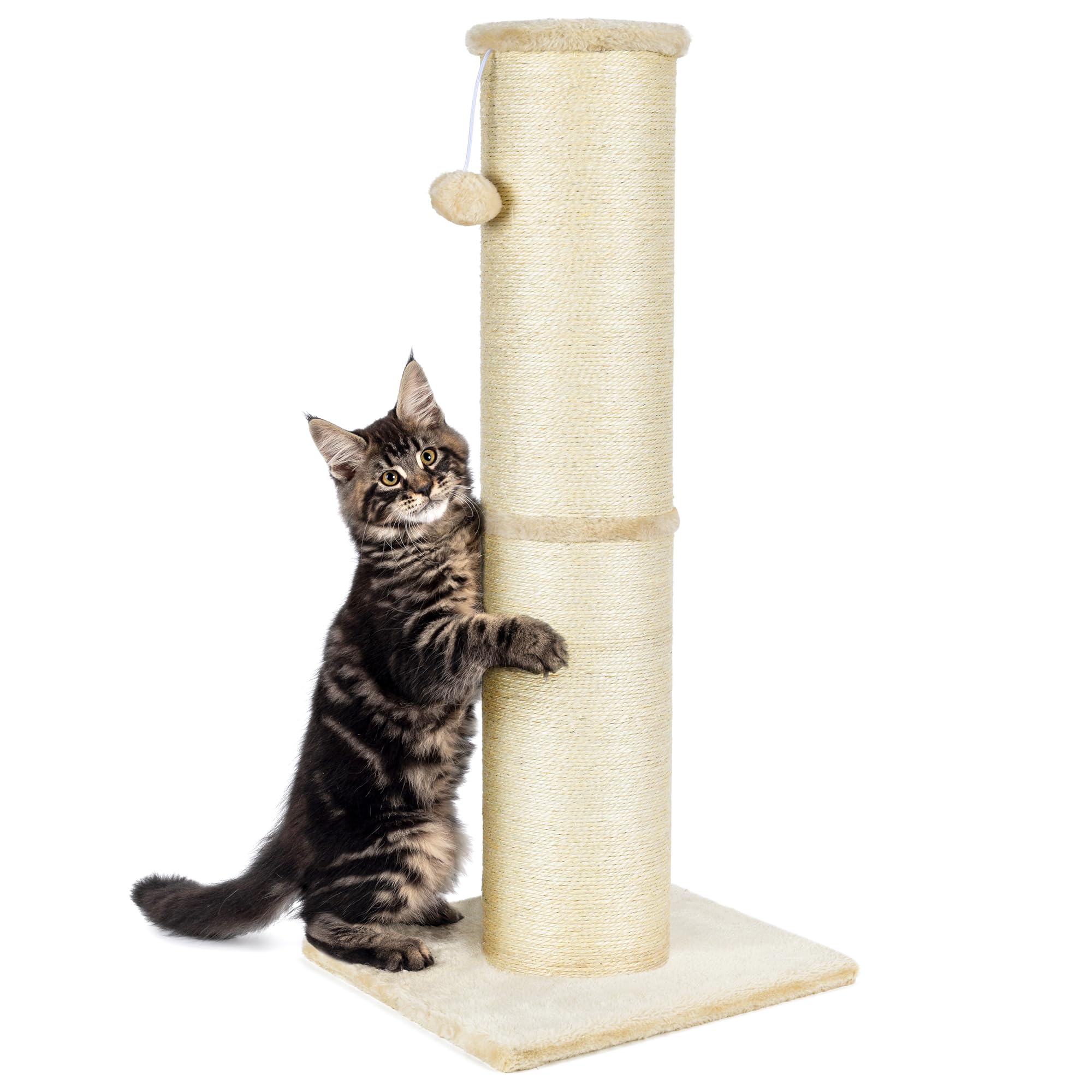 Pawscrat Cat Scratching Post 32 Inch High, 5.5 Inch Large Diameter Natural Sisal Cat Scratch Post, Scratch-Resistant And Durable