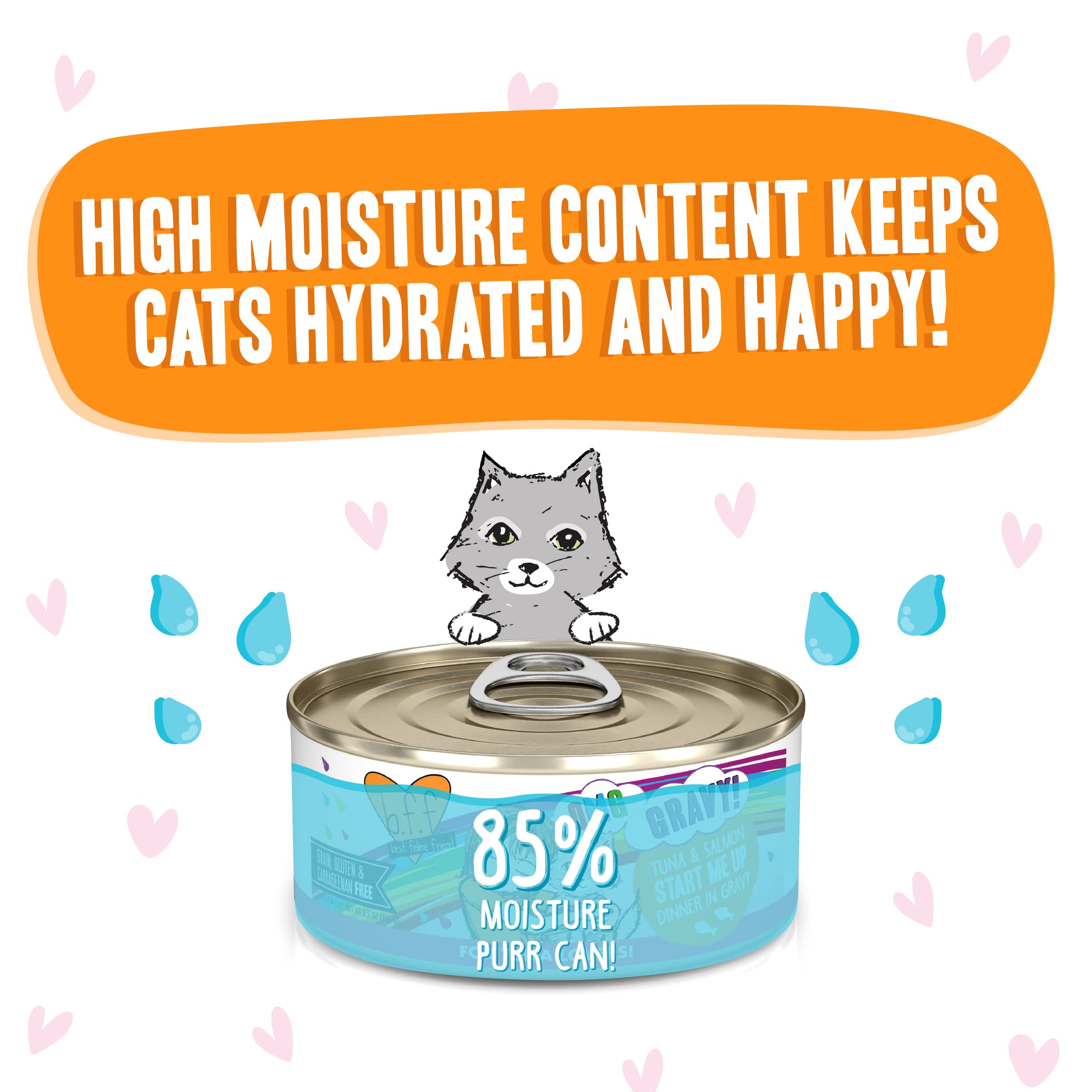 Weruva B.F.F. OMG - Best Feline Friend Oh My Gravy!, Tuna & Salmon Start Me Up with Tuna & Salmon, 5.5oz Can (Pack of 8)