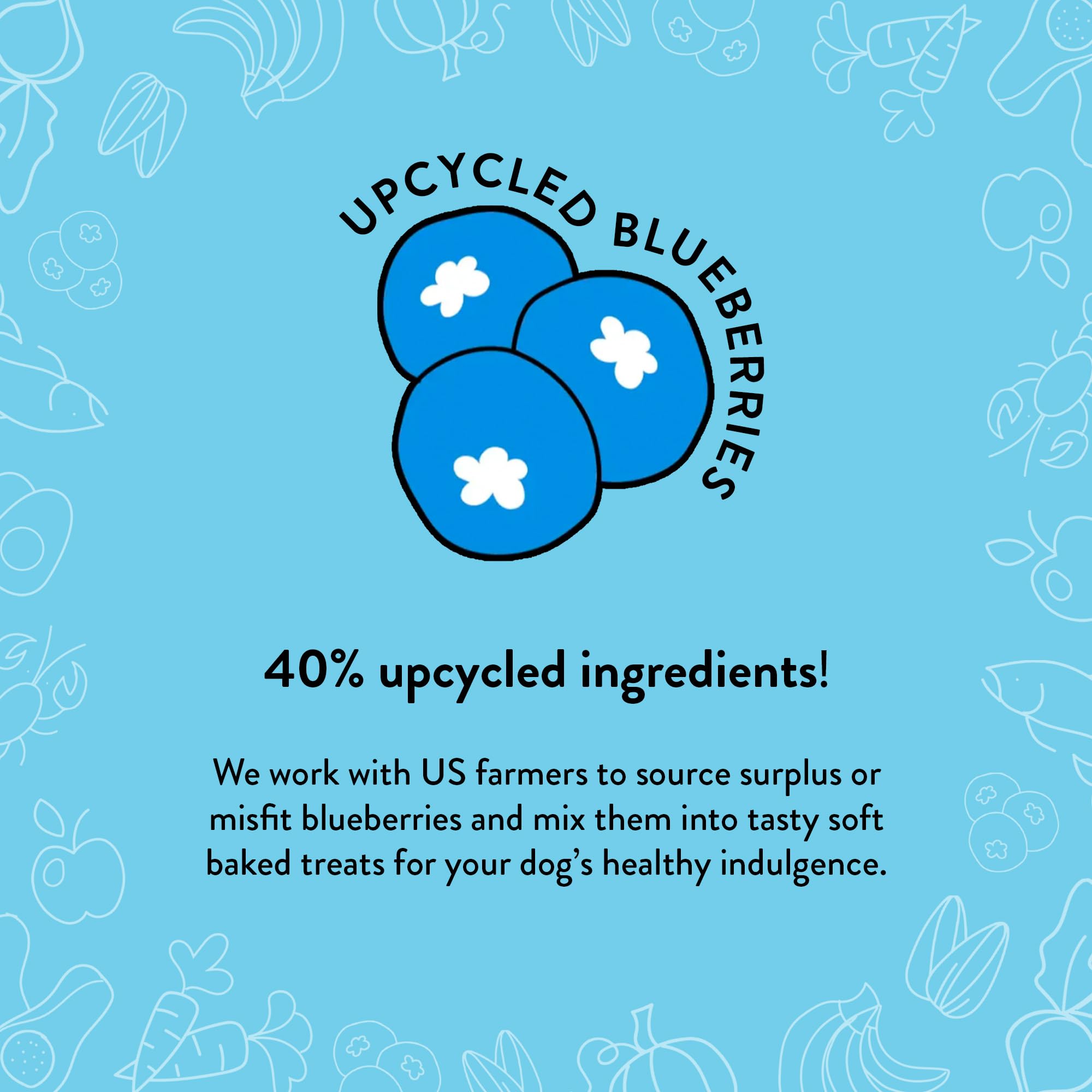 Shameless Pets Soft-Baked Dog Treats, Blueberried Treasure - Natural & Healthy Dog Chews with Mint for Immune Support - Made in