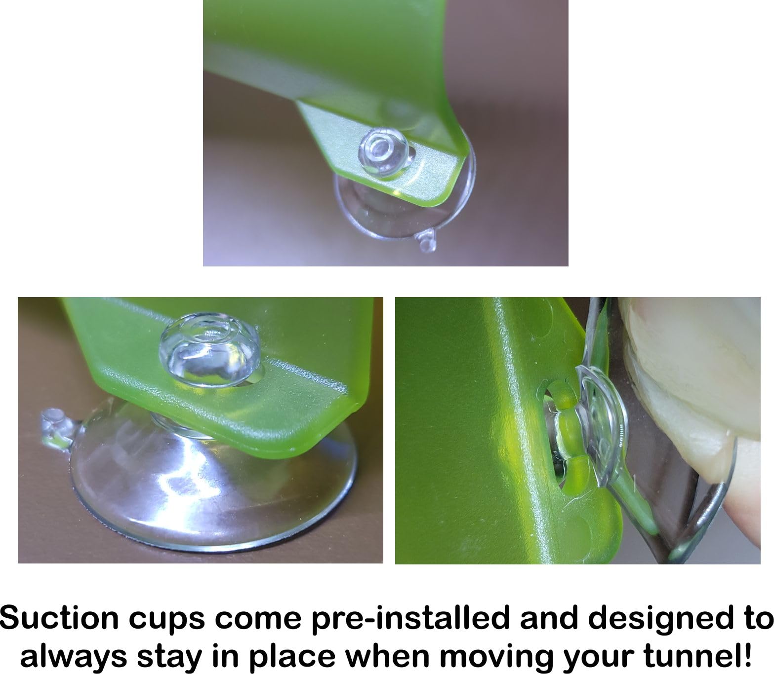 Seeshelter Brand Betta Tunnel (Translucent Medium Green)