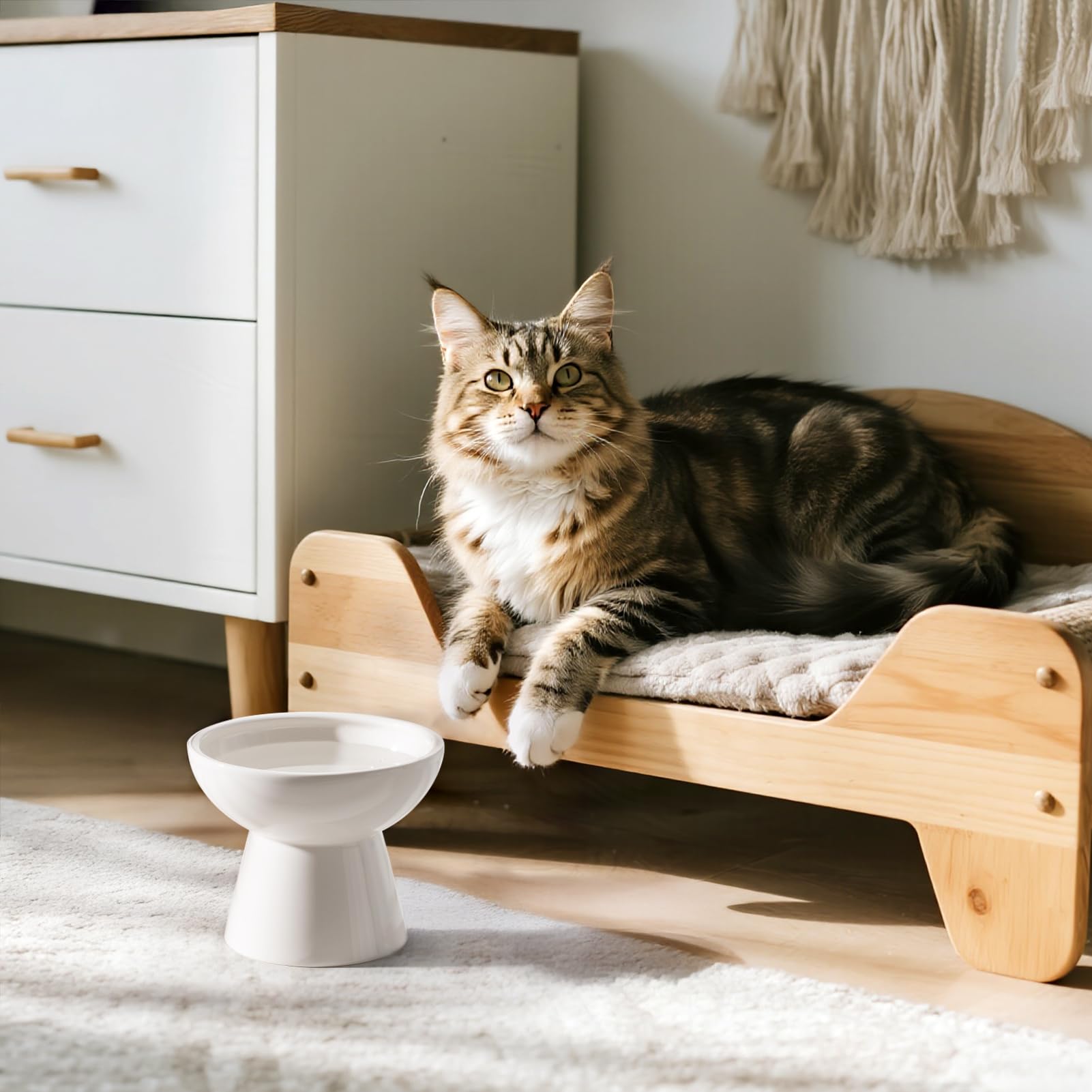 CEEFU Extra Wide Elevated Ceramic Cat Water Bowl - 6.2  Deeper Dish for Whisker Fatigue Relief, 5  Height for Easy Feeding, Lead