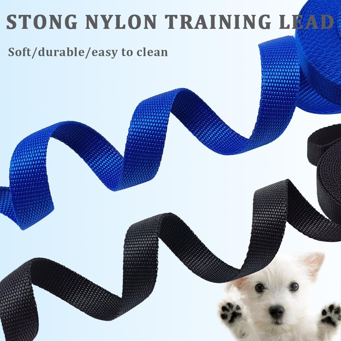 Wyuze 2 Pack Flat Nylon Dog Leash, 6/10/20/30/50 Ft Long Recall Training Lead, 3/4 Inch Wide Traditional Dog Leash For Small Med