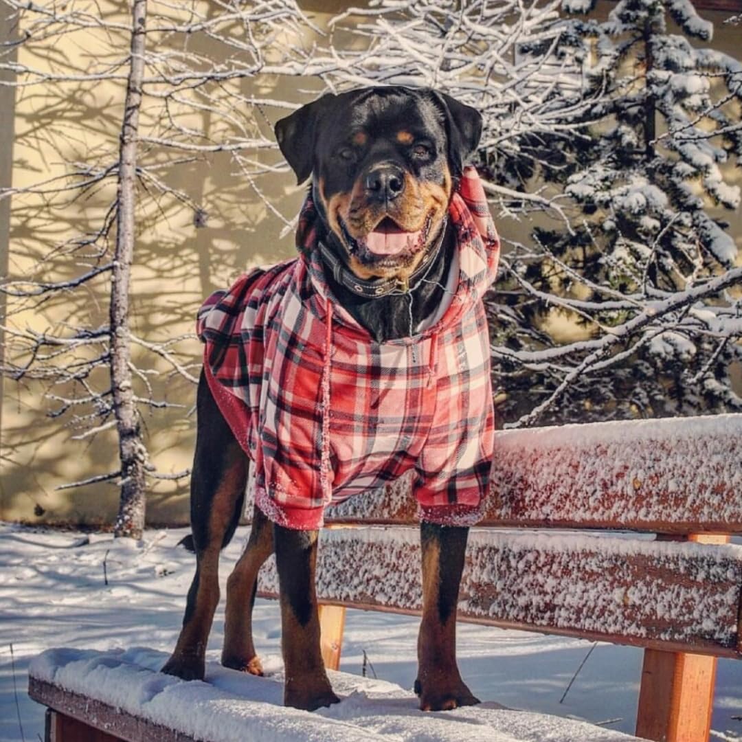 Spark Paws Dog Hoodie - Premium Quality, Buttery Soft, Superior Comfort And Fit, Calming Fleece Interior, Suitable For All Breeds - Red Plaid, 4Xl