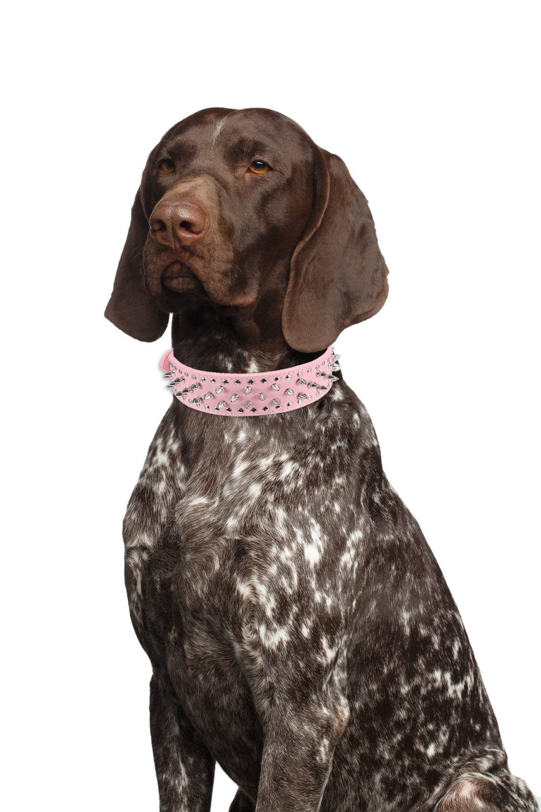 Kocaplye Spiked Dog Collar Rivet Studded Adjustable Pu Leather Spikes Collar For Medium Large Dogs 2' Wide Spike Collars