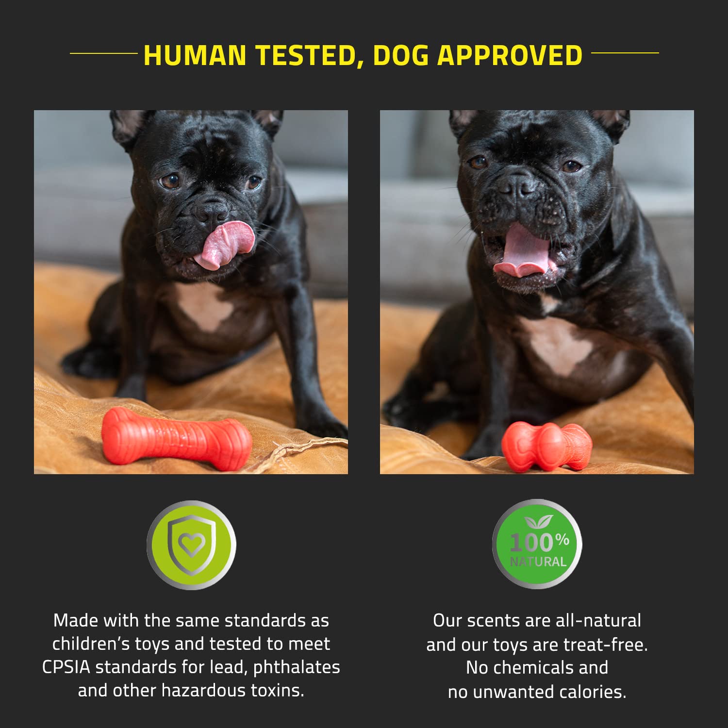 Playology Dual Layer Bone Toy - Engaging All Natural Cheddar Cheese Scented Dog Toy, Large - Chew, Toss, Fetch, And Play!