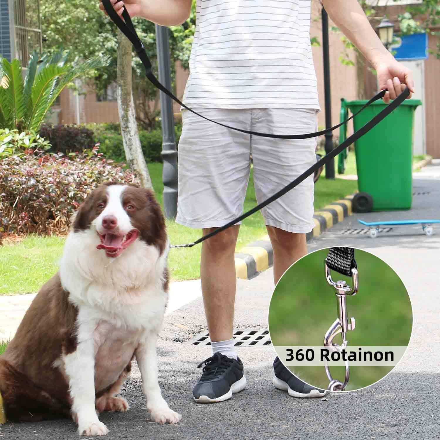 Amagood 6 Ft Cat Leash, Strong And Durable Traditional Style Leash With Easy To Use Collar Hook,Cat Lead Great For Cats (3/4 In