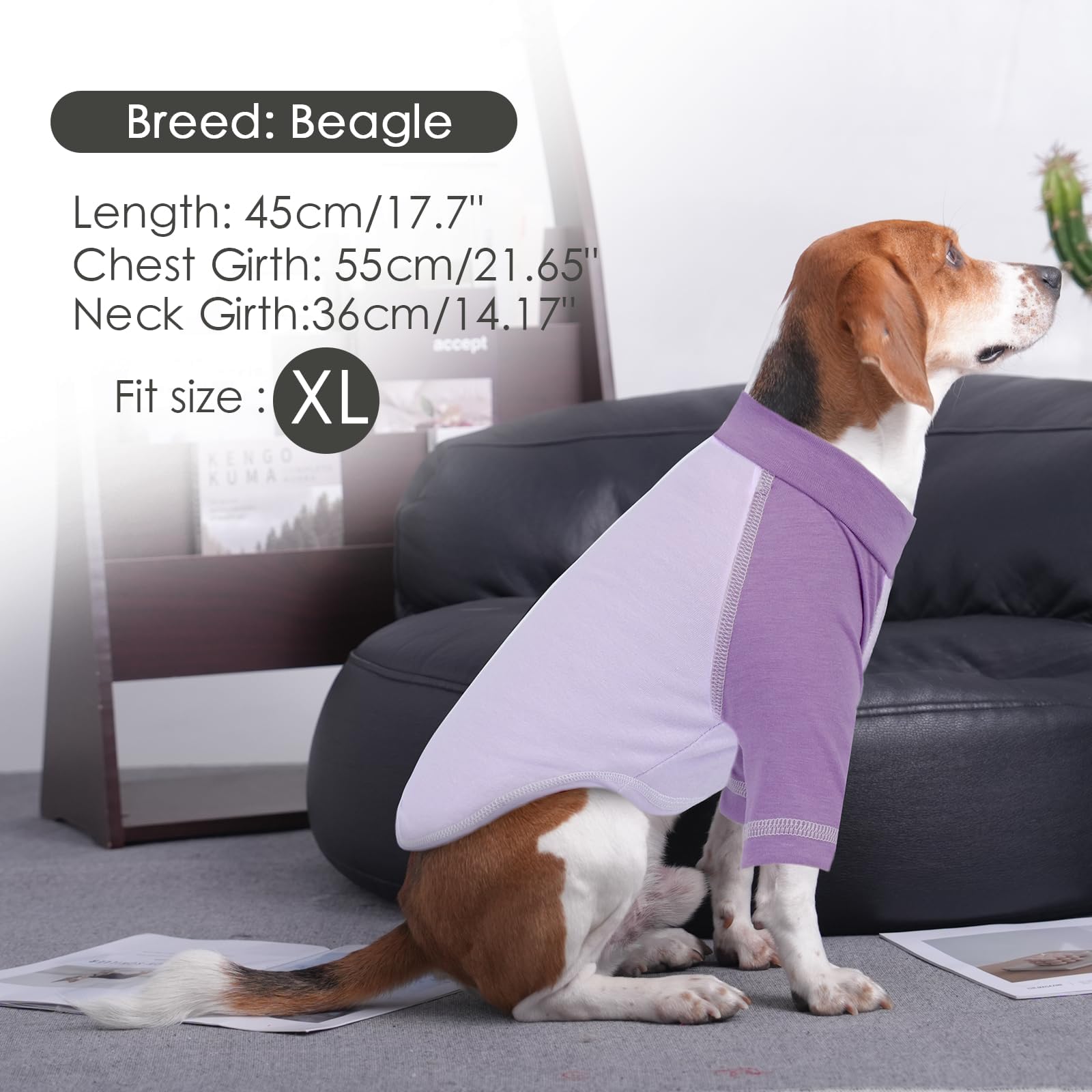 2 Pack Dog T-Shirt With Raglan Sleeves, Pinkpurple, X-Large Cozy Dog Summer Shirt, Bright Color Blue Green For Medium Dog Boys,