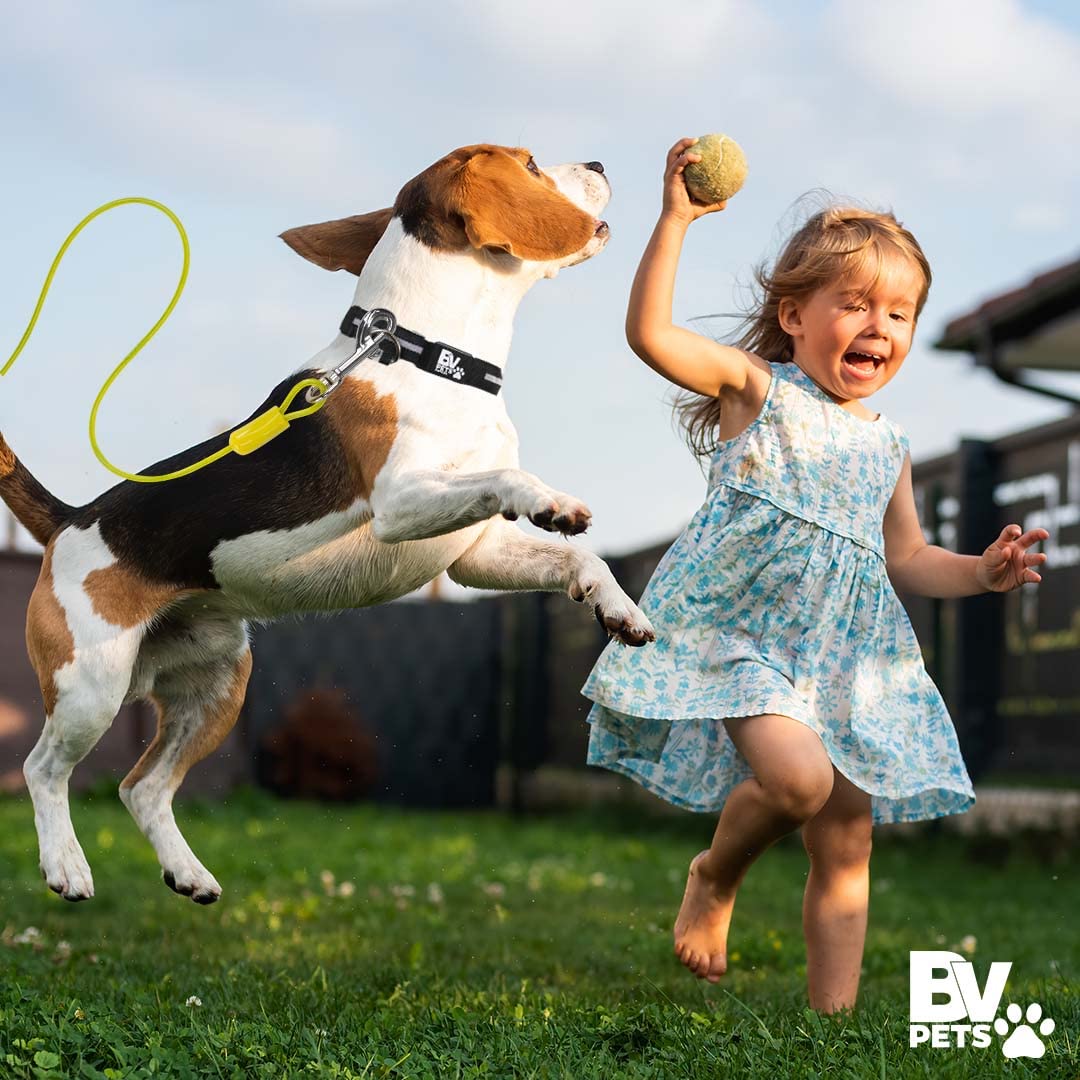 Bv Dog Tie Out Cable 25 Feet- Dog Leads For Yard Light Weight- Up To 35 Pounds | Tie Out Cable For Dogs, Reflective Dog Lead, Dog Cable 25Ft | Rust Free Dog Chain Outdoor | Dog Chain For Yard(Yellow)