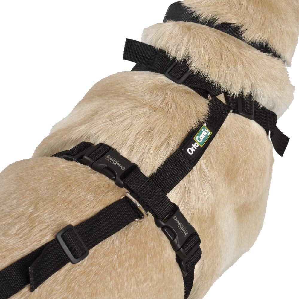 Ortocanis - Full-Body Dog Harness For Fore And Hind Support. Size S