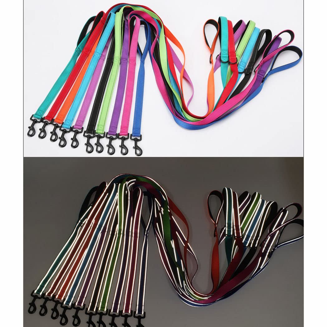 4ft Dog Leash with Two Handles, Reflective Extra Control Outside Durable Training Lead Heavy Duty Nylon Leashes for Small Medium