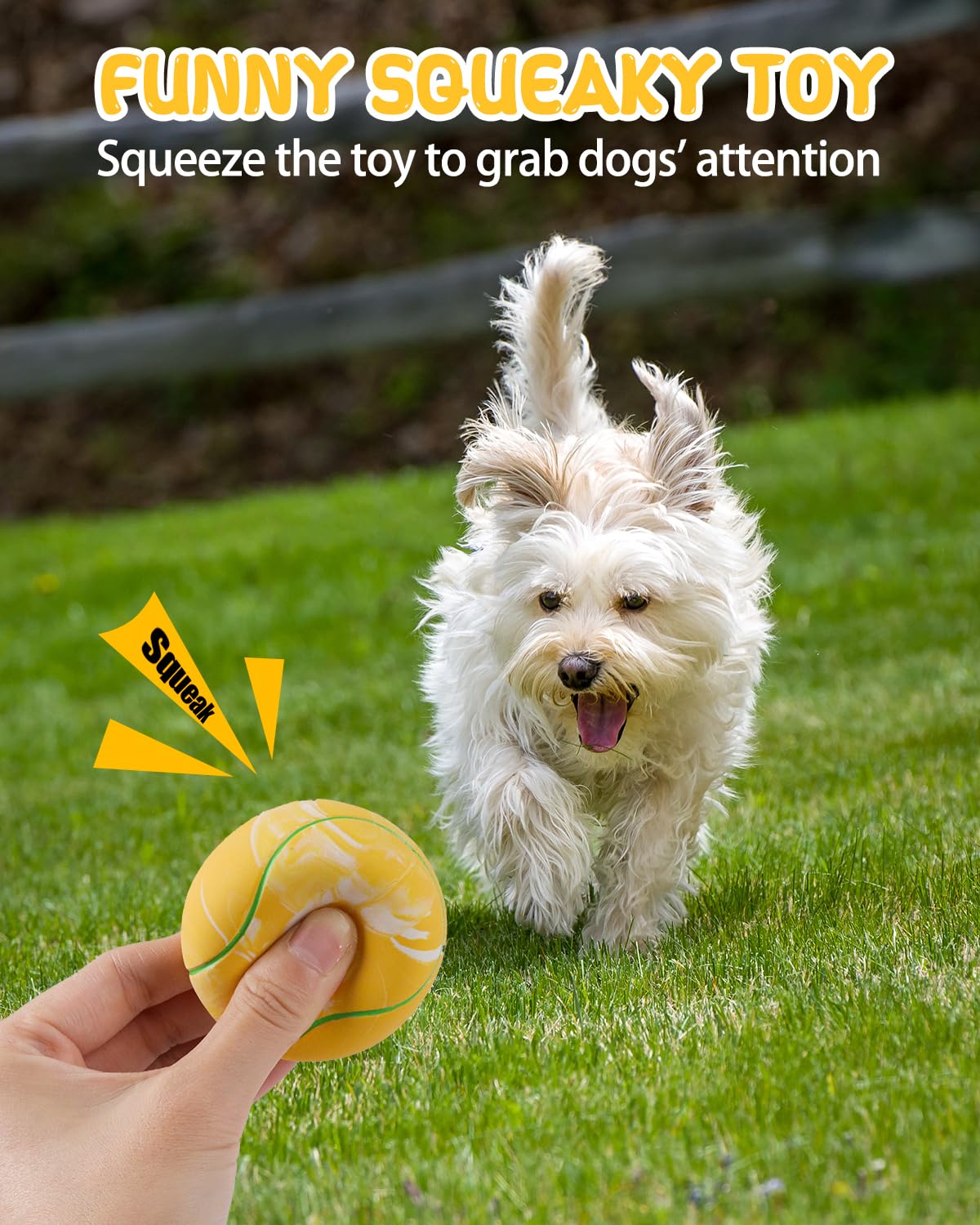 Schitec Dog Squeaky Toy Balls, Interactive Tennis Ball For Puppies Small Pet Medium Breed Dogs, Latex Rubber Puppy Fetch Play To