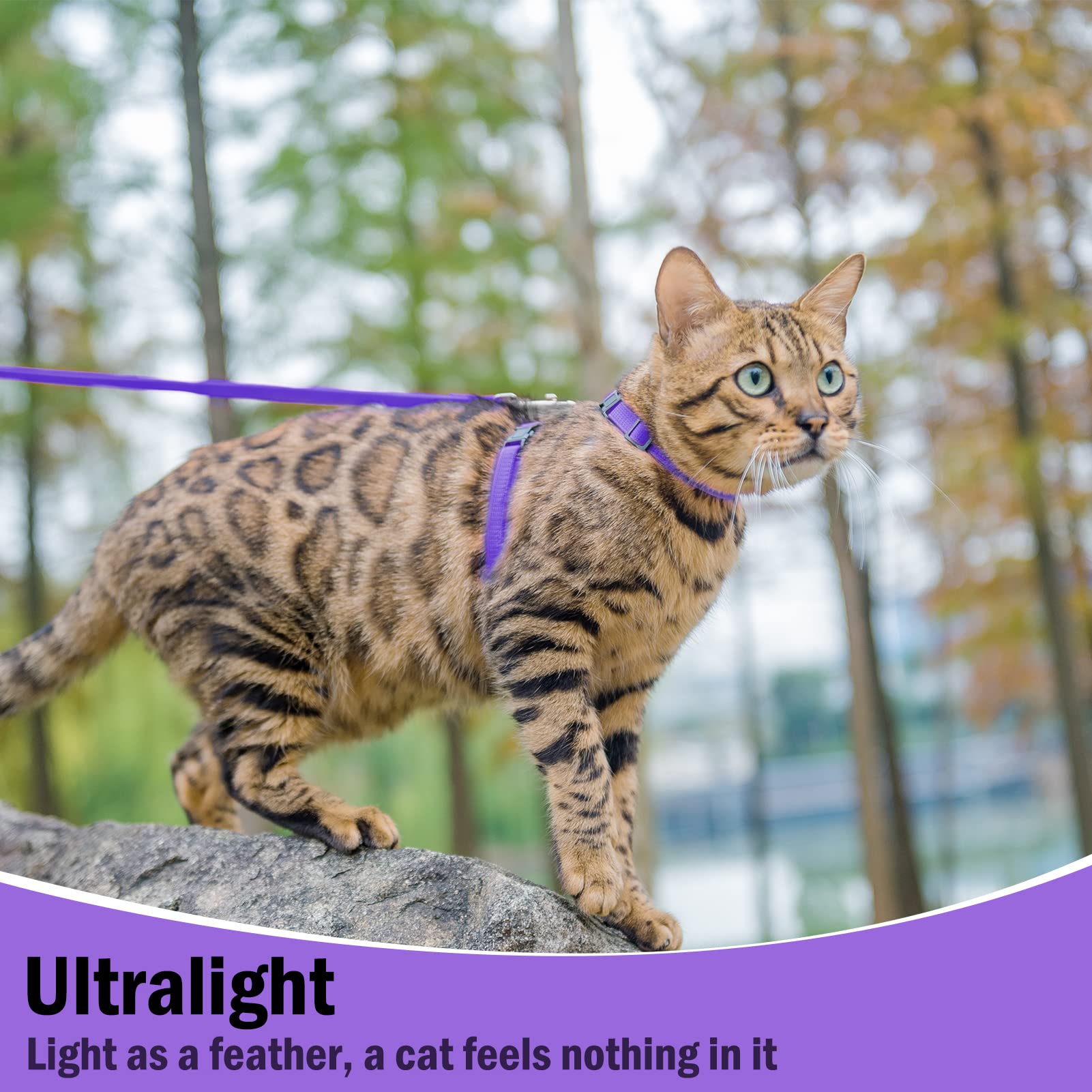 Pupteck Adjustable Cat Harness And Leash Set Escape Proof Kitten Strap Collar For Walking Travel, Purple