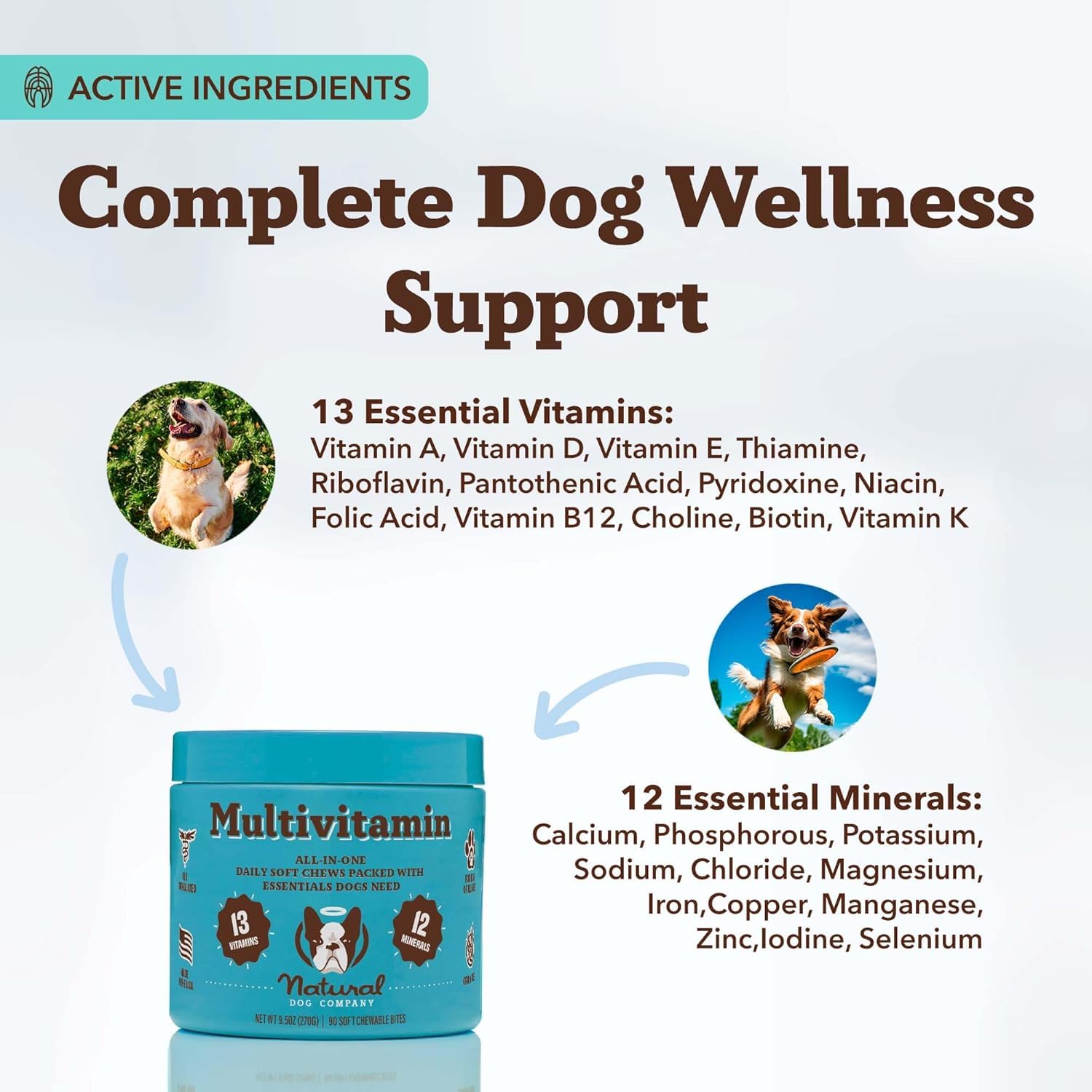 Natural Dog Company 25-in-1 Multivitamin Chews for Dogs - Daily Soft Dog Vitamins with Antioxidants, Zinc & Folic Acid - Support