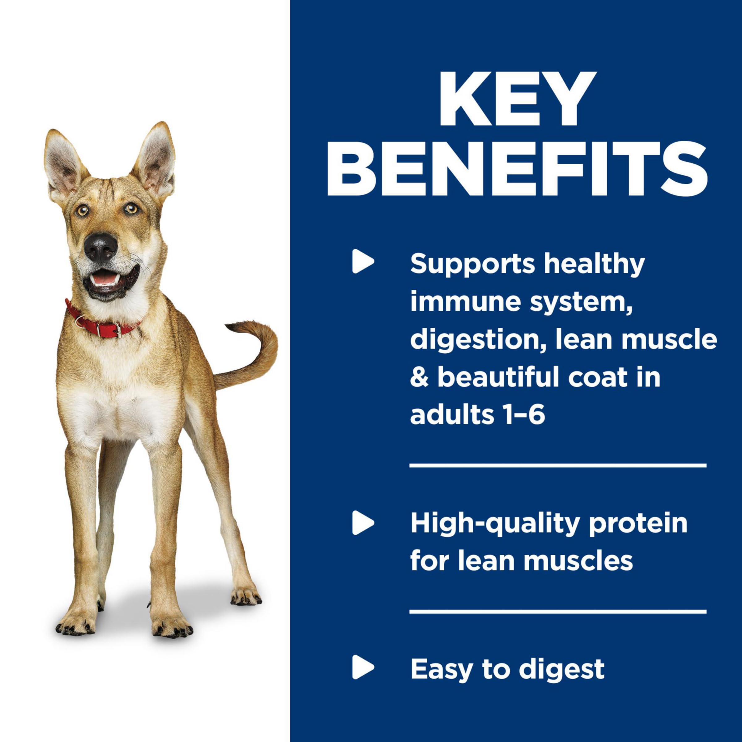 Hills Science Diet Adult 1-6, Adult 1-6 Premium Nutrition, Wet Dog Food, Chicken & Vegetables Stew, 12.8 oz Can, Case of 12