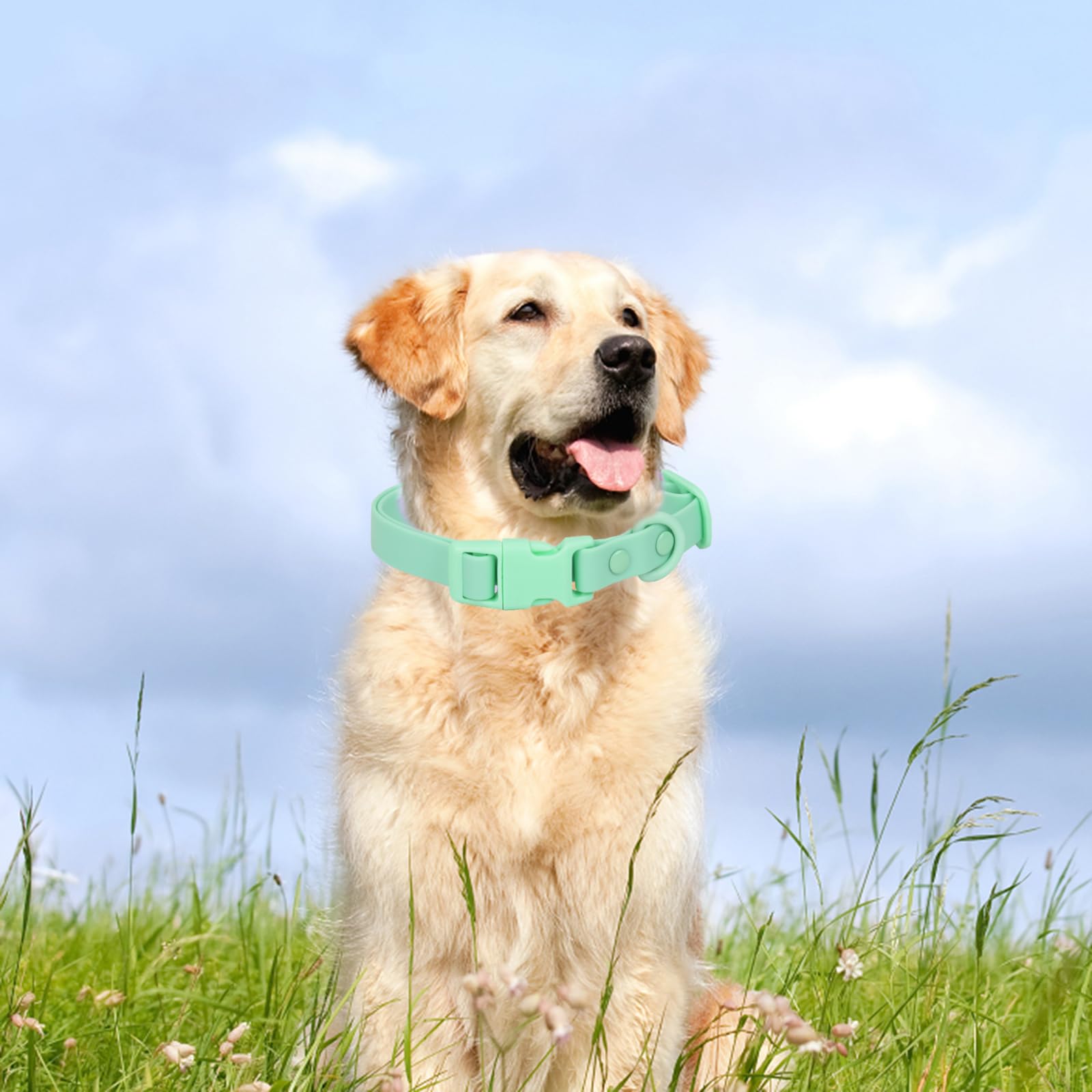 Waterproof Dog Collar Soft Rubber Dog Collar With Safety Buckle Adjustable Pet Collars For Small Medium Large Dogs