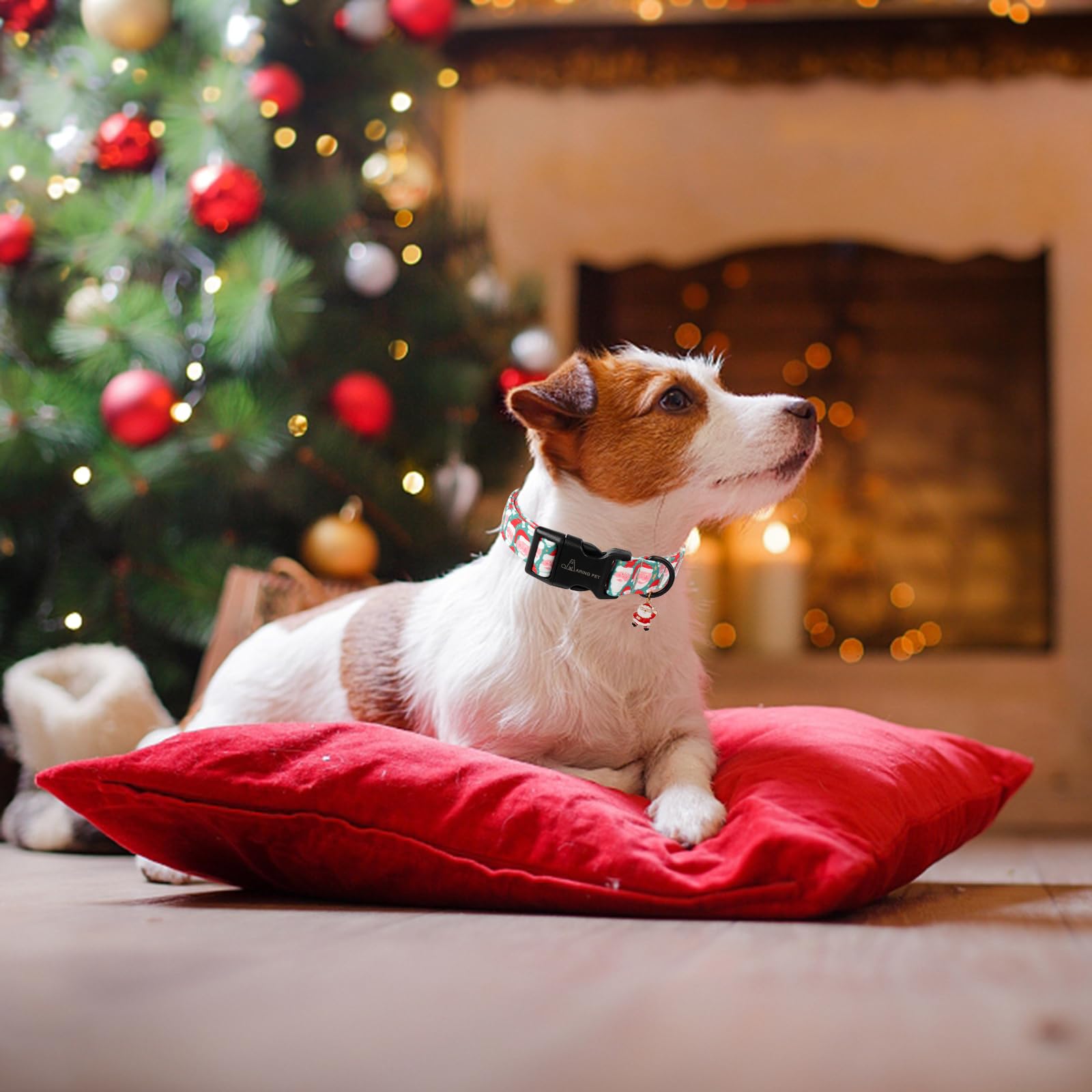 Aring Pet Christmas Dog Collar-Cute Green Santa Claus Dog Collars, Adjustable Christmas Pet Collars Puppy Collar With Quick Rele