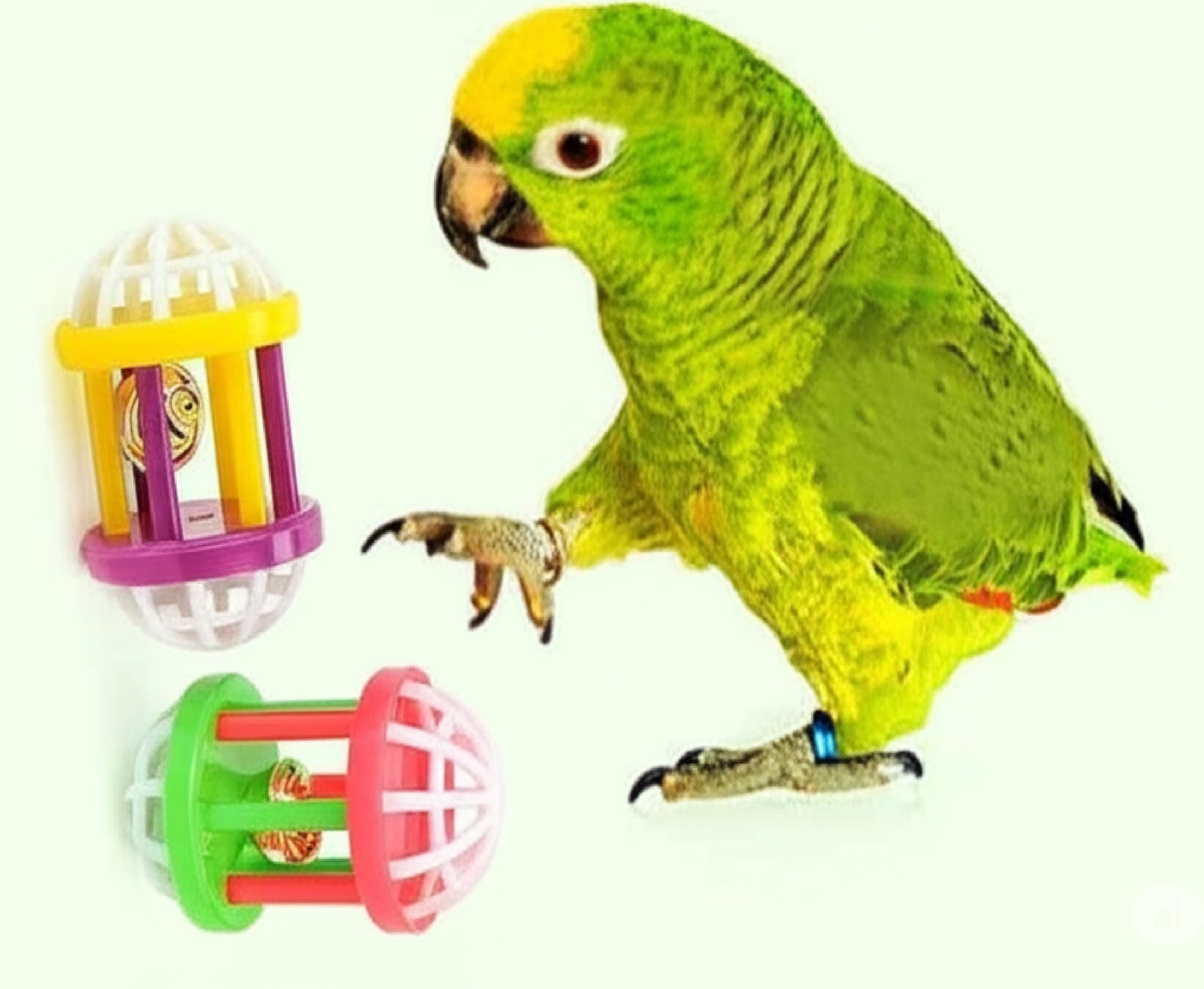 Roverpets Hollow Rolling Bell Ball Parrot Balls Toy Pet Bird Toy Parrot Chew Cage Fun Toys Parakeet Cockatiel Pet Toy For Lovebi