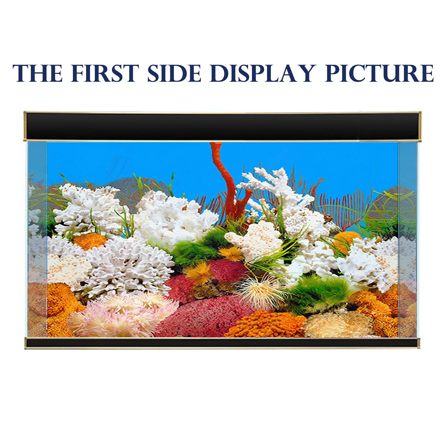 ELEBOX New 23 x 71 Fish Tank Background 2 Sided River Bed & Lake Background Aquarium