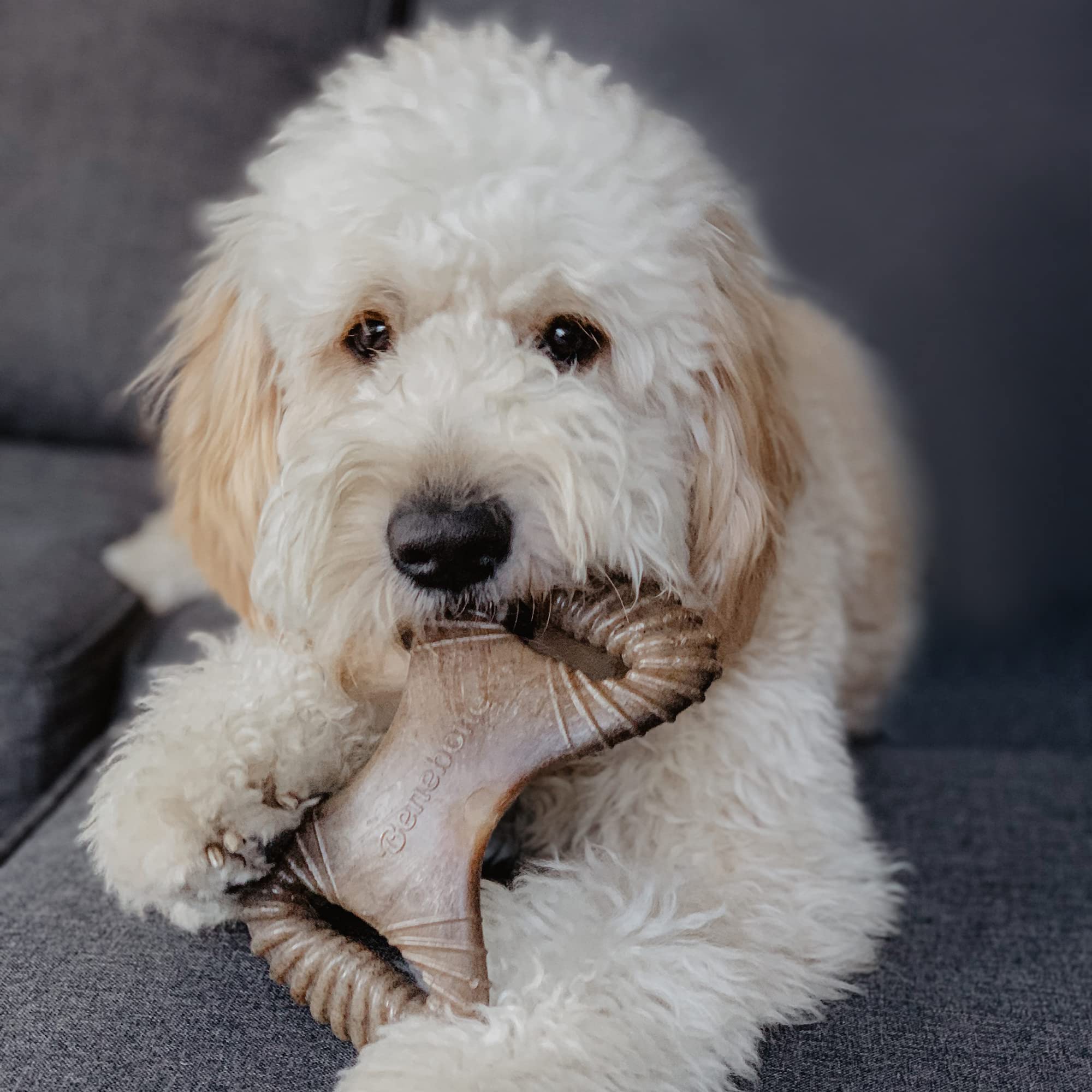 Benebone 2-Pack Wishbone/Dental Durable Dog Chew Toys, Dog Toys For Aggressive Chewers, Real Bacon, Made In Usa, Medium