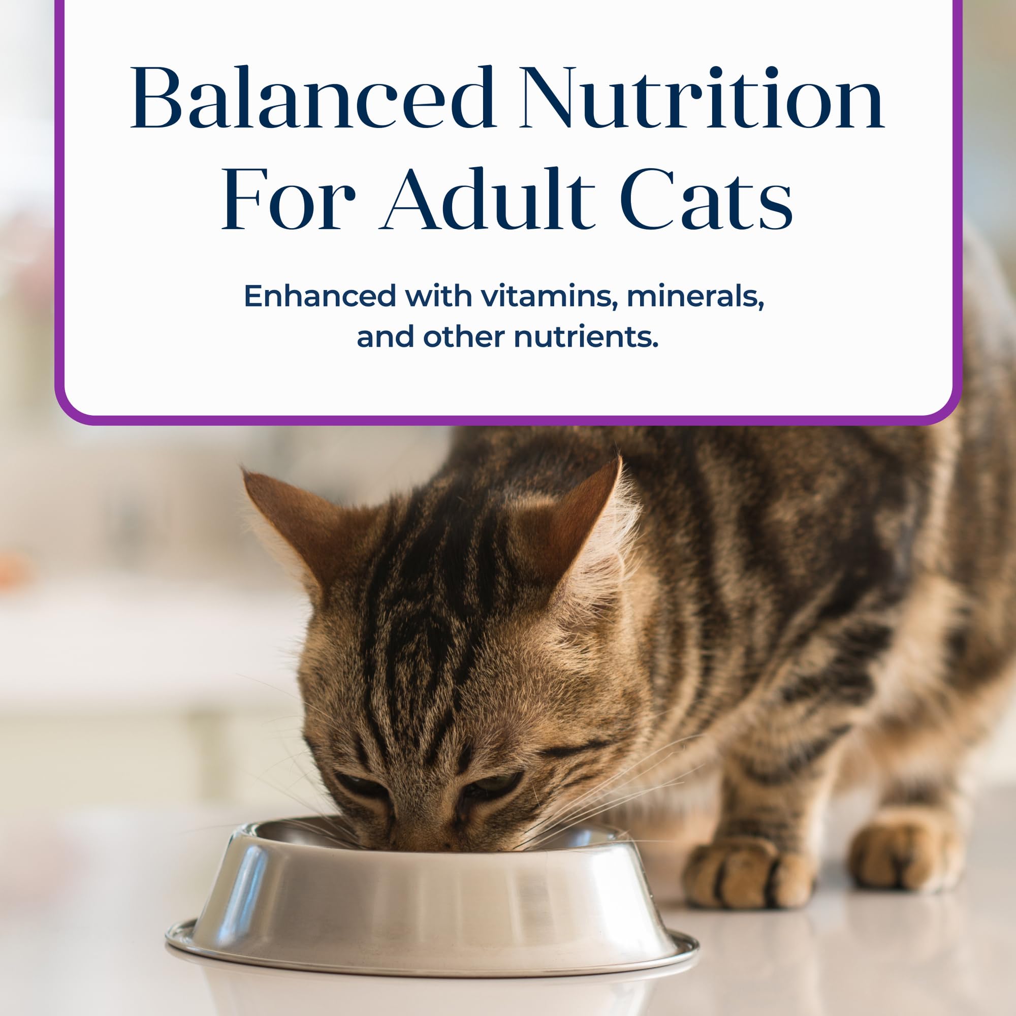 Blue Buffalo Basics Grain-Free Adult Wet Cat Food, Skin & Stomach Care, Limited Ingredient Diet, Turkey Recipe, 5.5-oz Can, 24 C