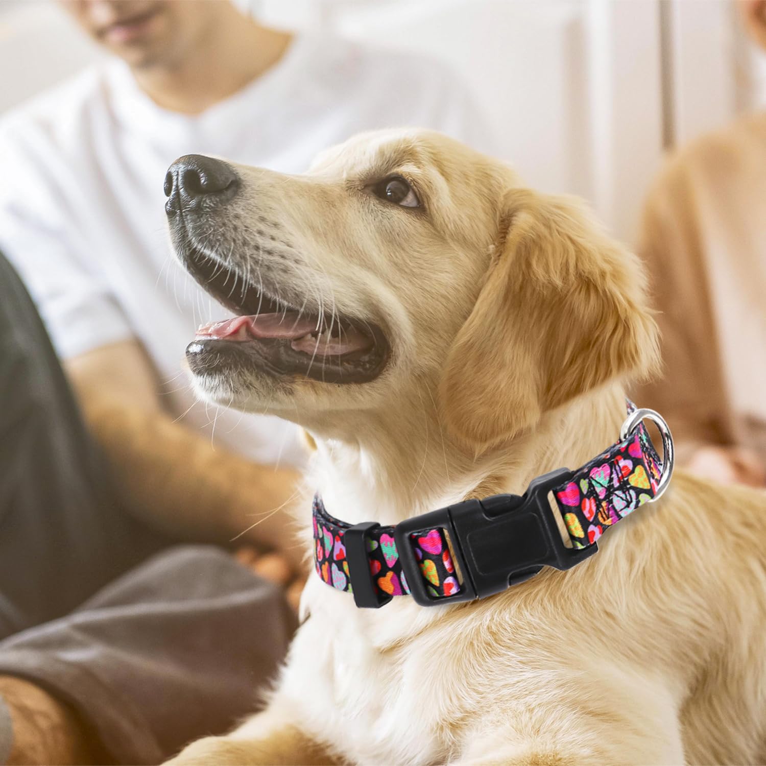Dog Collar For Small Dogs With Love Hearts, Pink Girl Boy Dog Collar Adjustable Comfy Wedding Dog Collar With Safety Buckle For