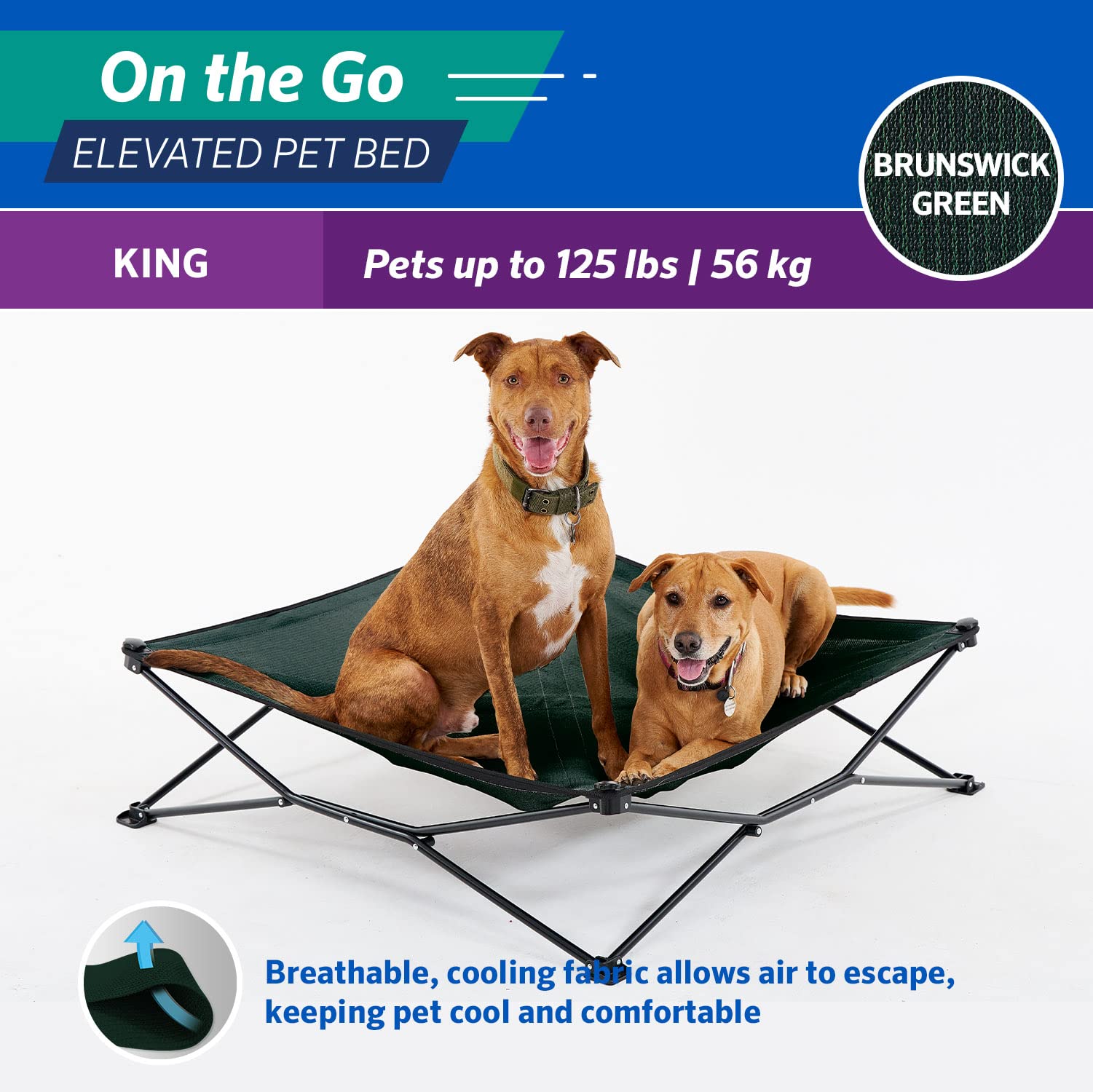 Coolaroo On The Go Pet Bed - Brunswick Green - Xl (41'' X 41'')