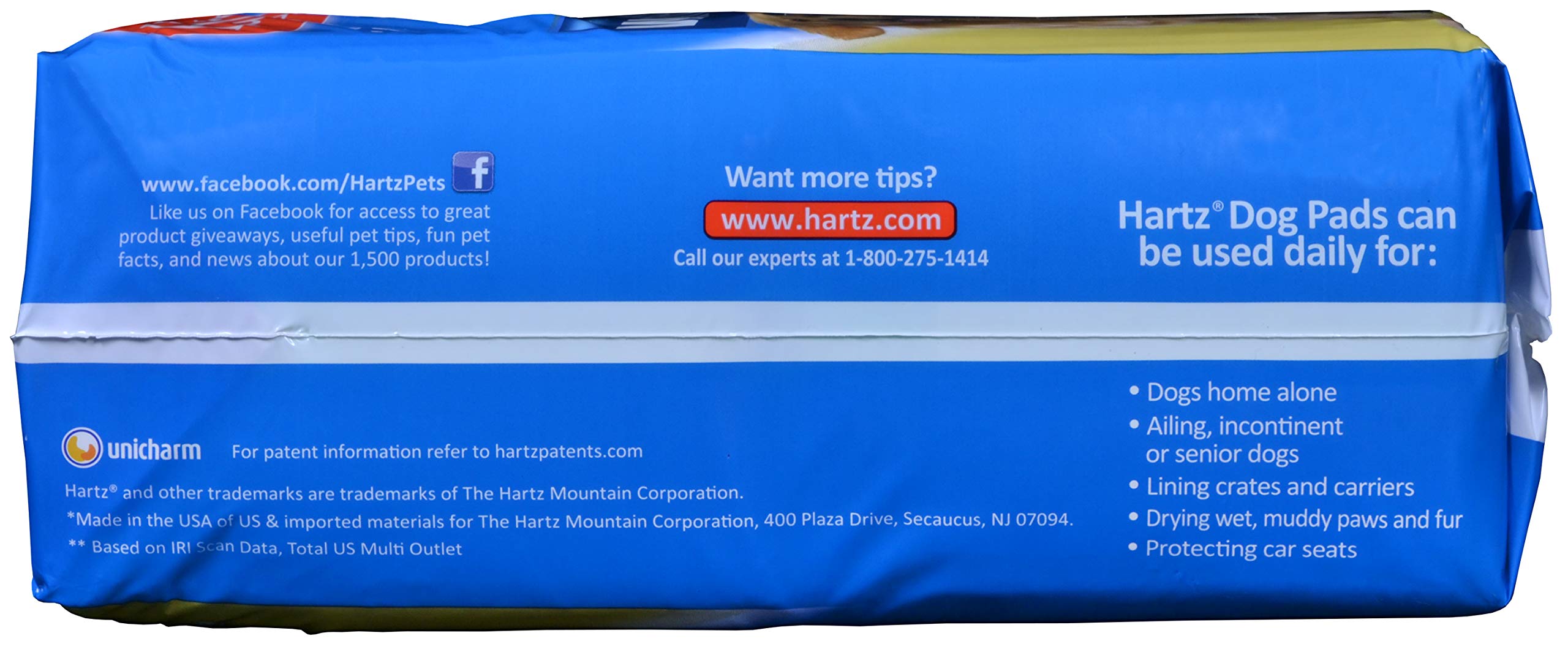 Training Pad Dog 50Pc