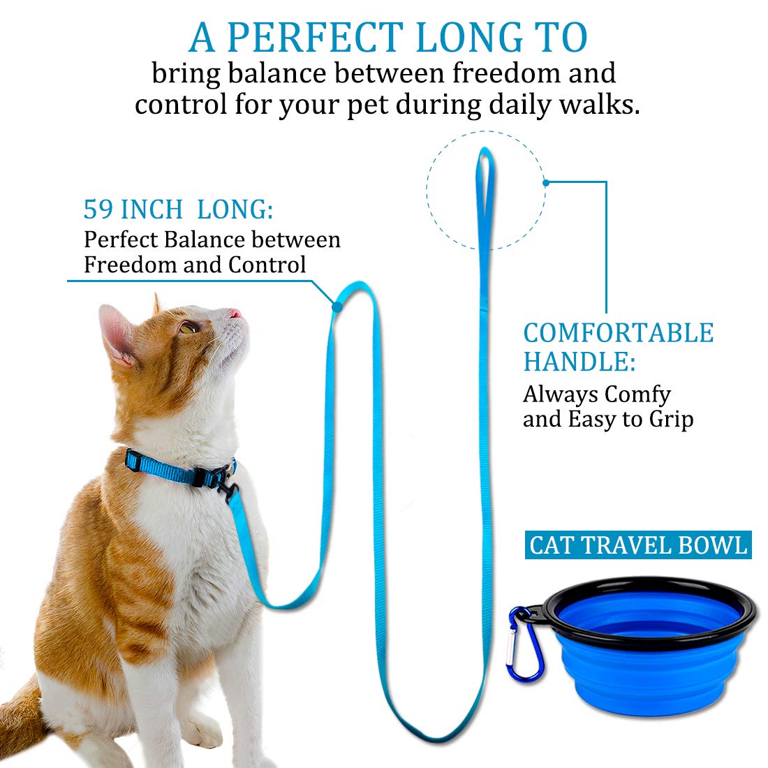 Doyoo 2 Pack Nylon Puppy Dog & Cat Leash, Strong & Durable With Easy To Use Collar Hook - Great For Small Dogs (Set 1-Black+Blue