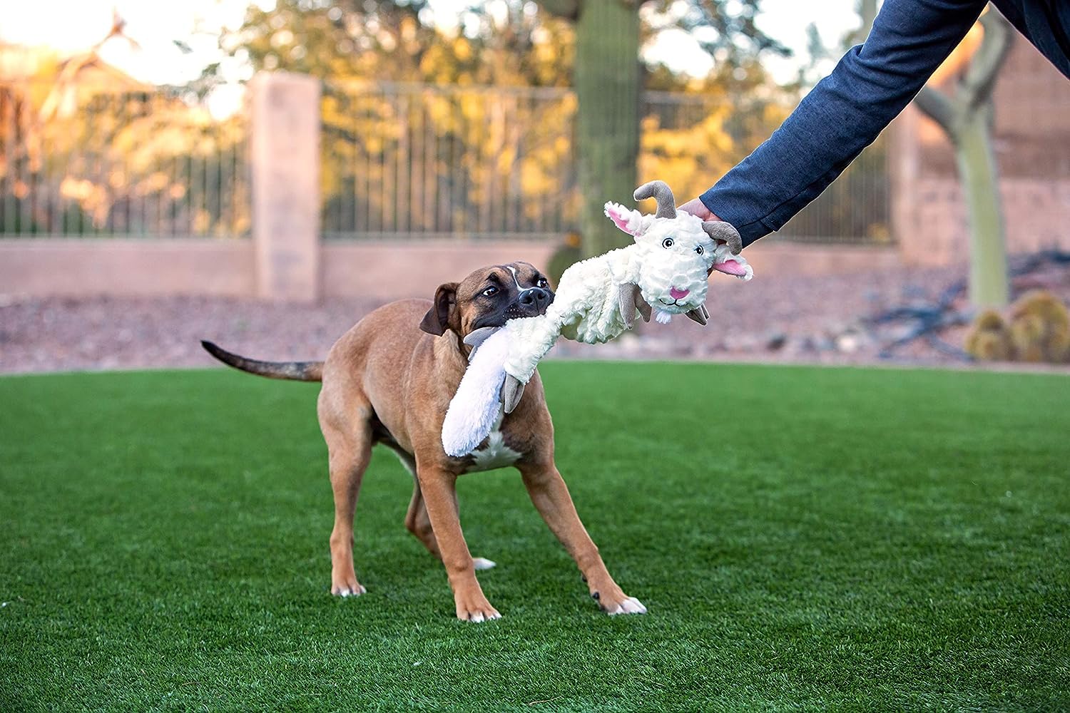 Jolly Pets Fat Tail Large Horse