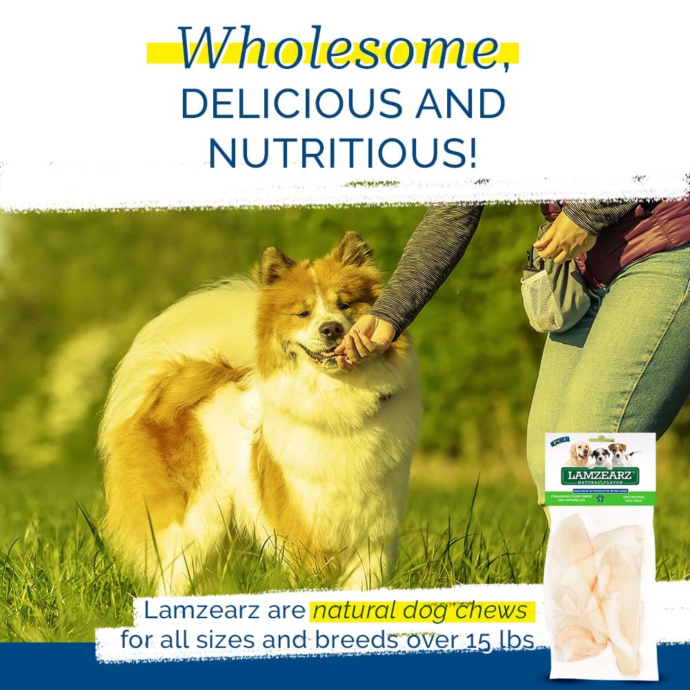 Pet Center, Inc. (PCI - Lamzearz - 24 Pack of Premium Lamb Ear Dog Treats