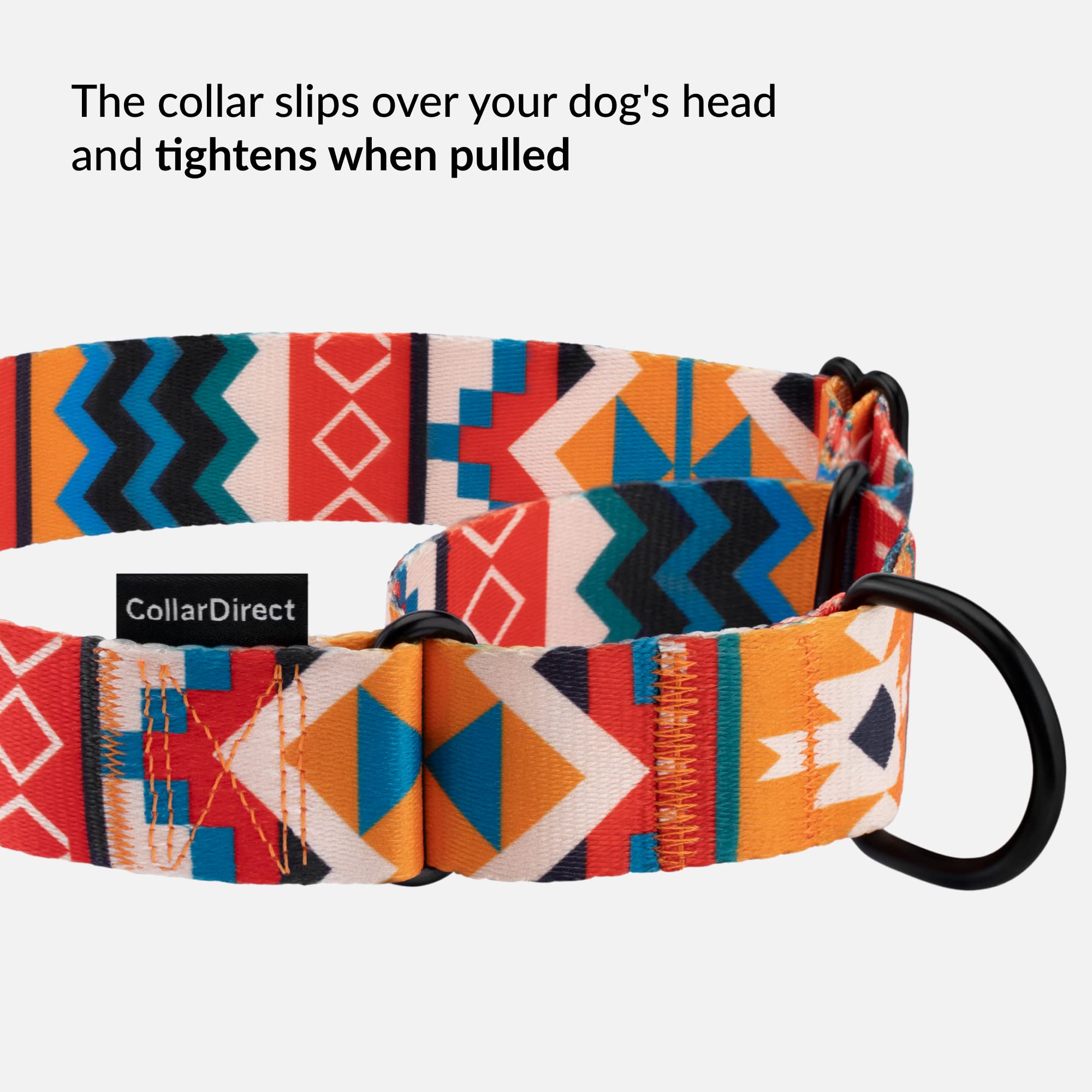 Collardirect Martingale Dog Collar Nylon Safety Training Tribal Pattern Adjustable Heavy Duty Collars For Dogs Medium Large (Pattern 2, Large, Neck Size 15'-20')