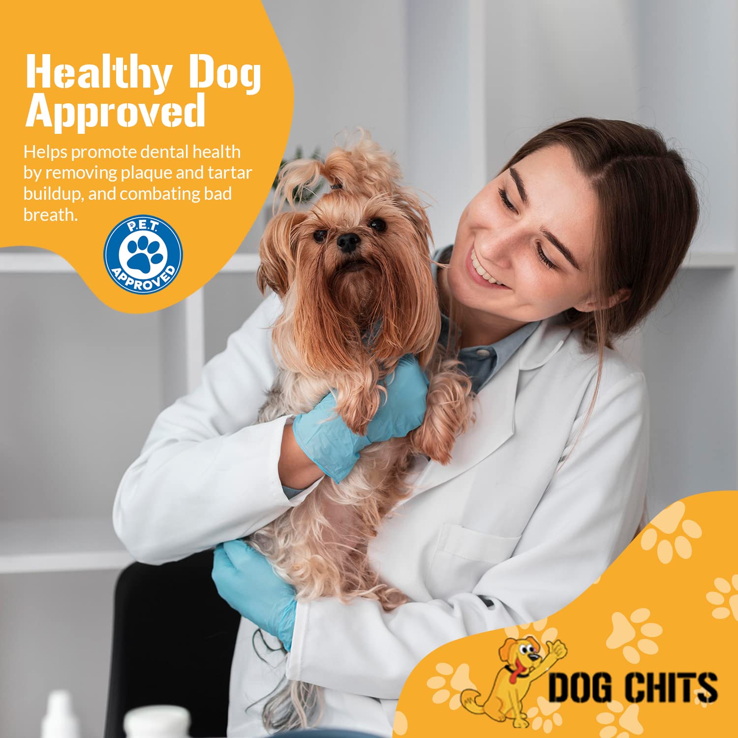 Dog Chits Beef Lung Fillets Dog and Puppy Treats - New! - All Natural Grain and Chemical Free Training Chews - High Protein and