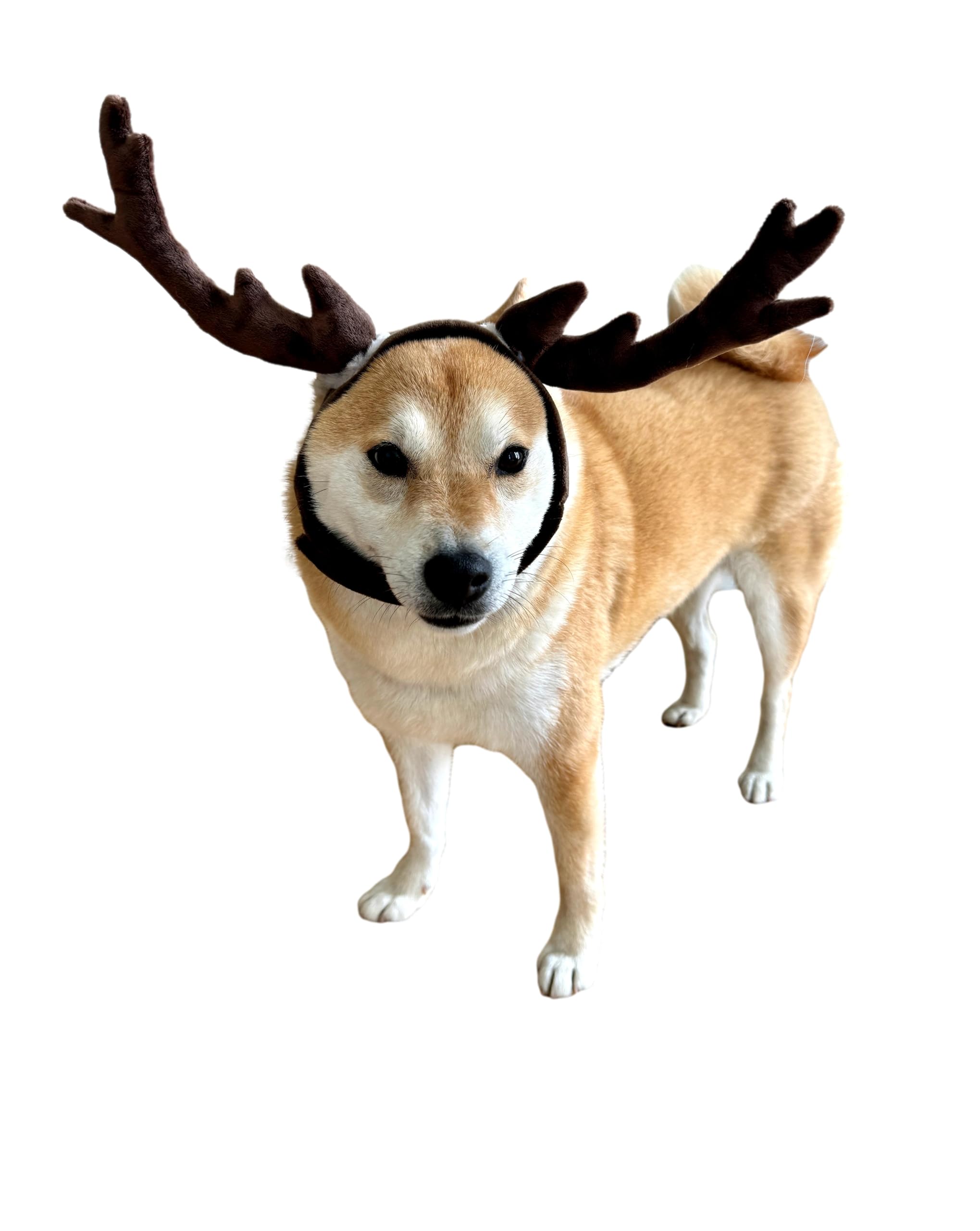 Comfycamper Reindeer Dog Headpiece - Elk Deer Antlers X Large Xxl Animal Cosplay Halloween Costumes Christmas, Xl