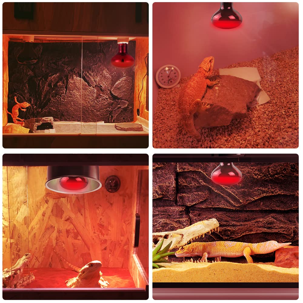 LUCKY HERP Infrared Heat Lamp 75W 2 Pack,Reptile & Amphibian Basking Spot Light Bulbs, Red Heat Lamp Bulbs for Reptiles, Bearded