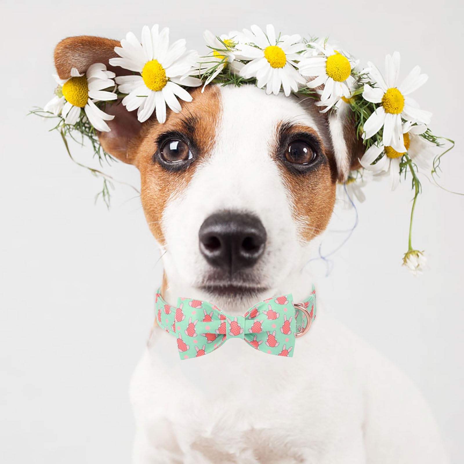 Babole Pet Easter Dog Collar With Bow Tie - Bunny Egg Pattern Bowtie Adjustable Heavy Duty Spring Collar For Small Medium Large