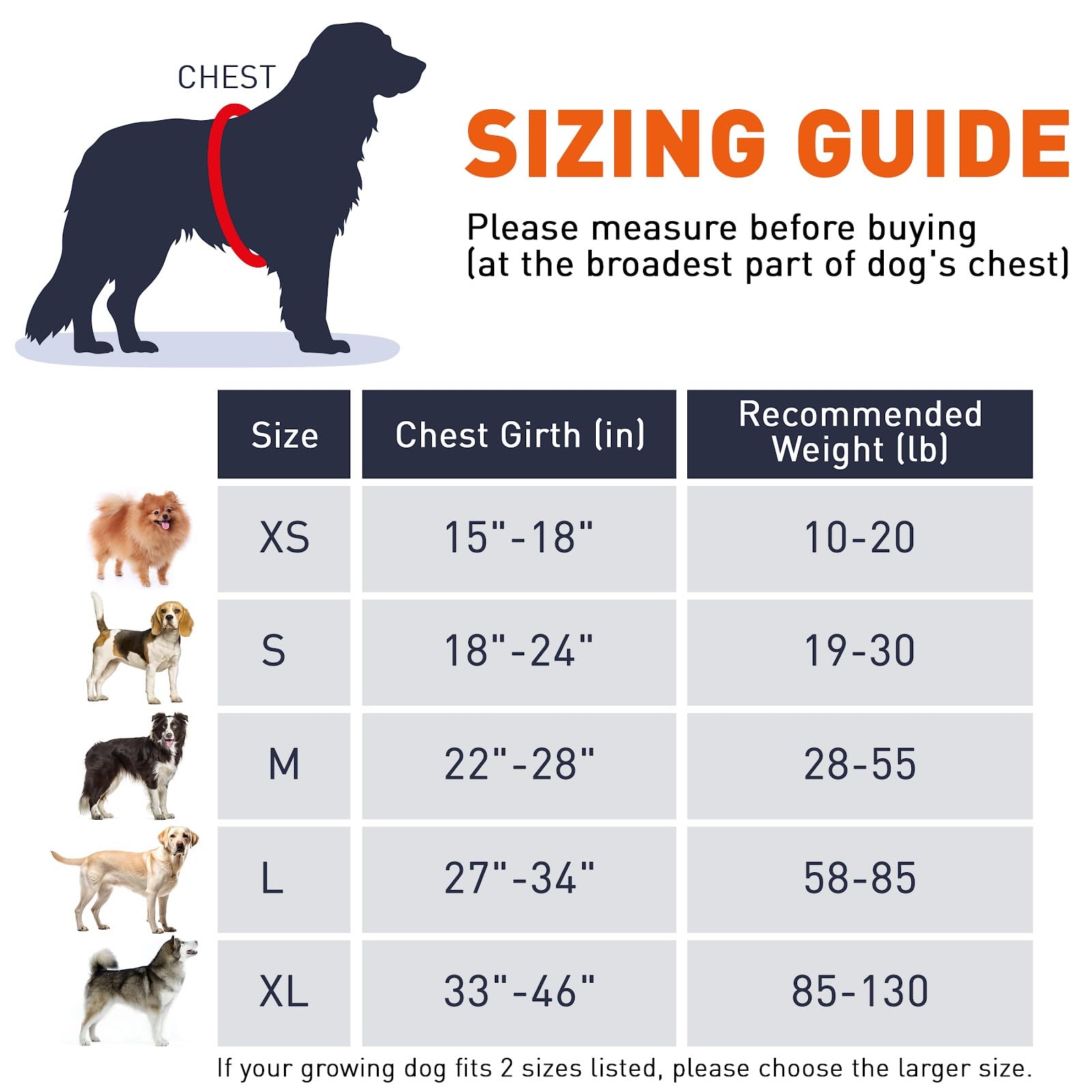 Dogline Dog Harness, Reflective No-Pull Adjustable Vest With Handle For Walking, Training, Breathable, No - Choke Harness For Small, Medium Or Large Dogs Room For Patches Girth 27 To 34 In Black