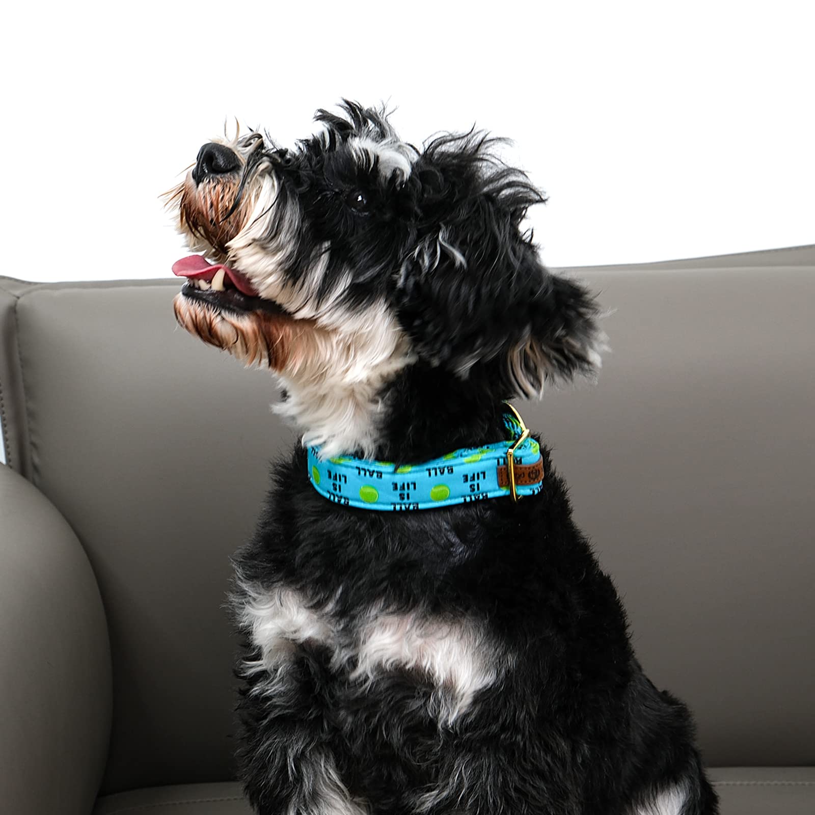 Lionet Paws Dog Collar, Comfortable Adjustable Cute Collar With Metal Buckle For Male Female Dogs, Tennis Ball Pattern, Large, N