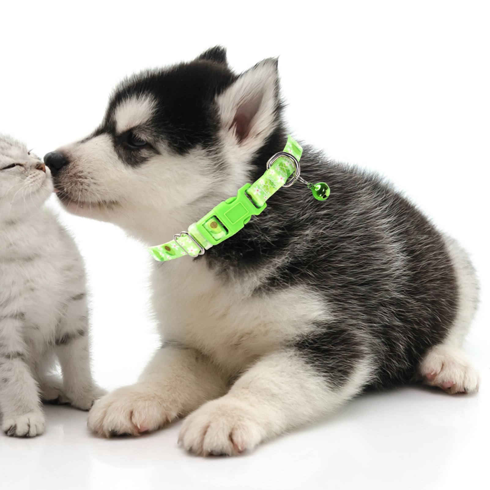 Avocado Small Dog Collar With Bell, Soft Adjustable Green Avocado Puppy Collar Tiny Cat Collars With Bells For Xs Small Girl And