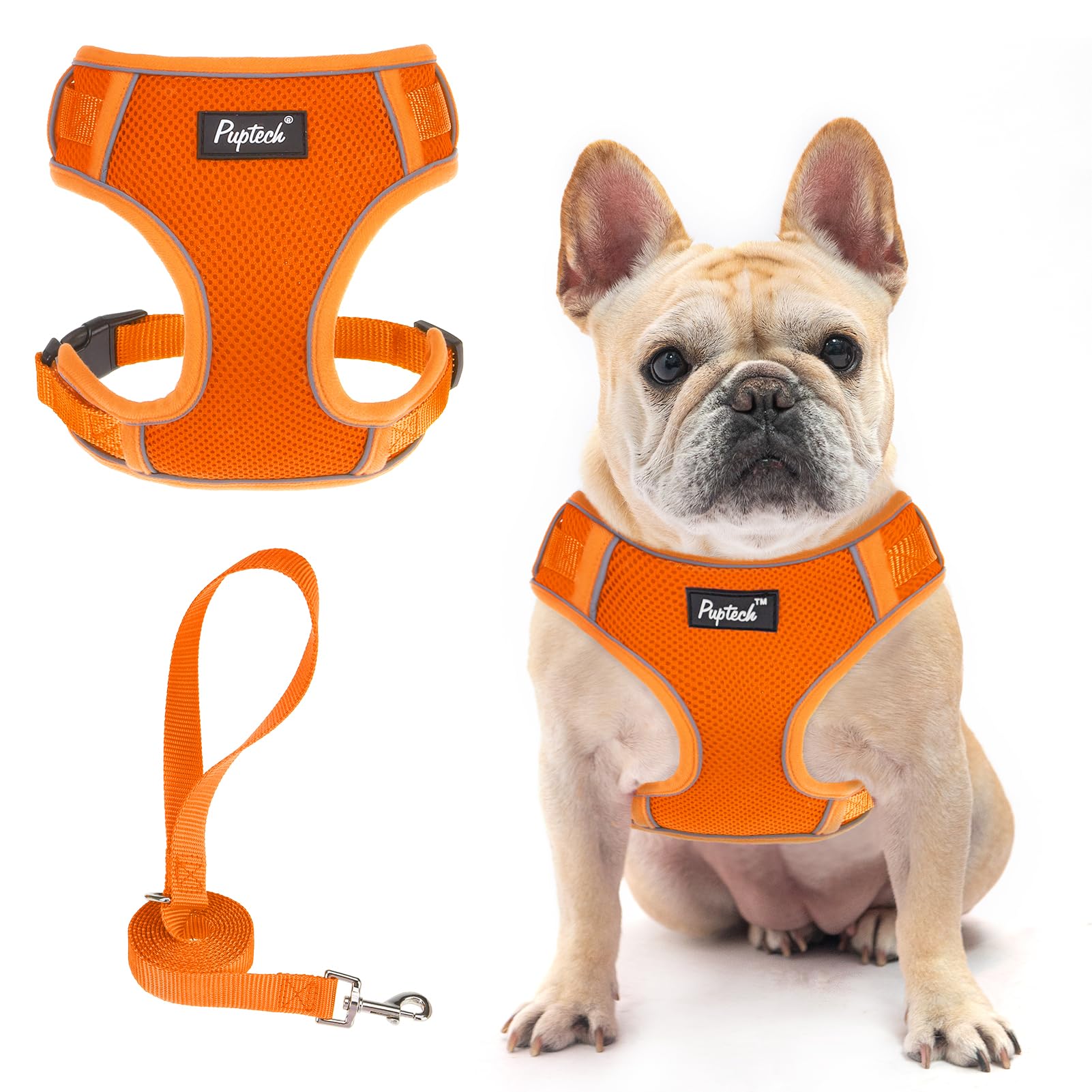 Pupteck Dog Harness And Leash Set For Small Medium Dogs No Pull, Soft Mesh Adjustable Puppy Cat Harness Reflective At Night, Ora