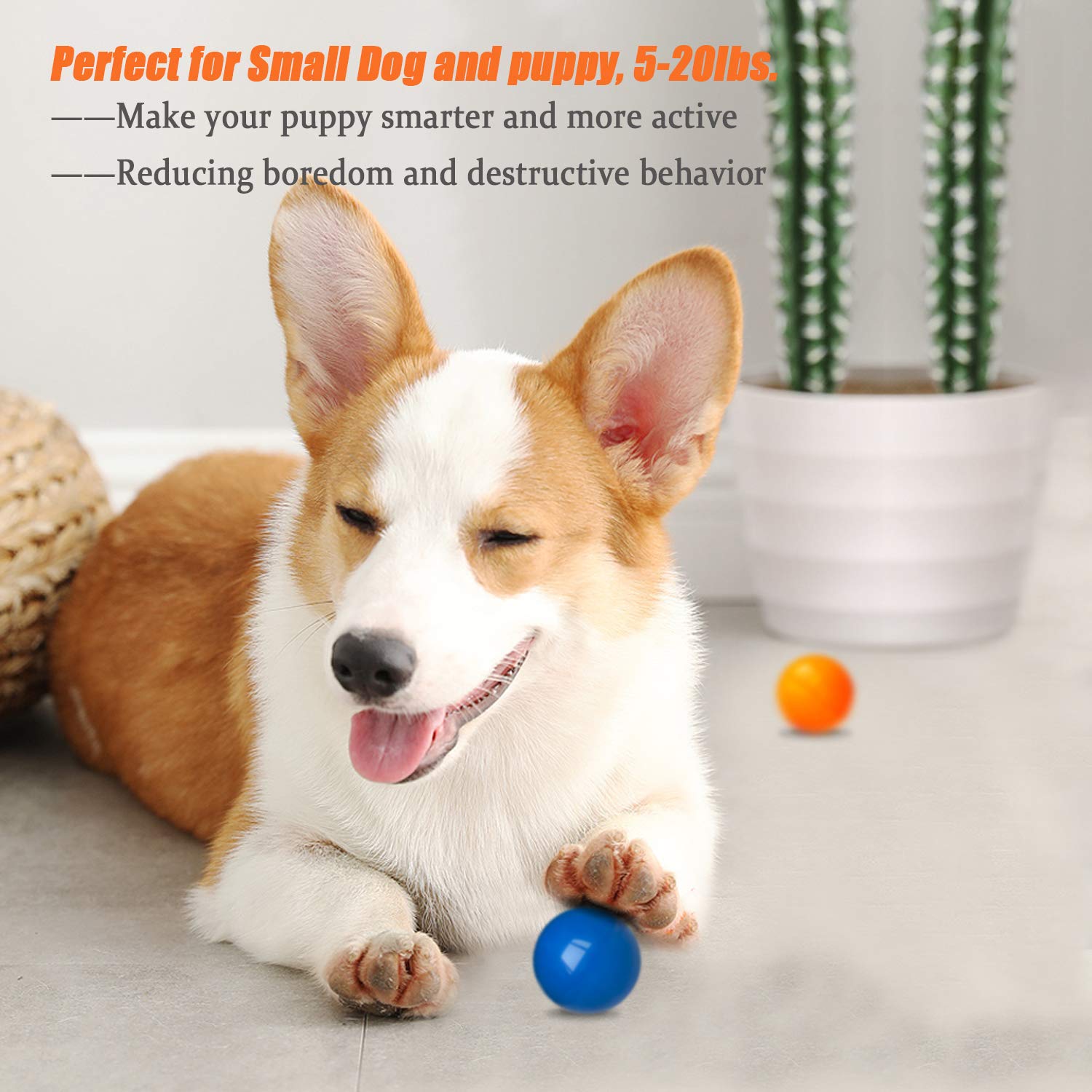 Dlder Dog Balls Puppy Chew Toys For Teething,Small Solid Rubber Bouncy Balls For Dogs,100% Safe & Non-Toxic,Floating Dog Toy Balls For Small Medium Dogs Aggressive Chewers To Fetch,Chew, Play.