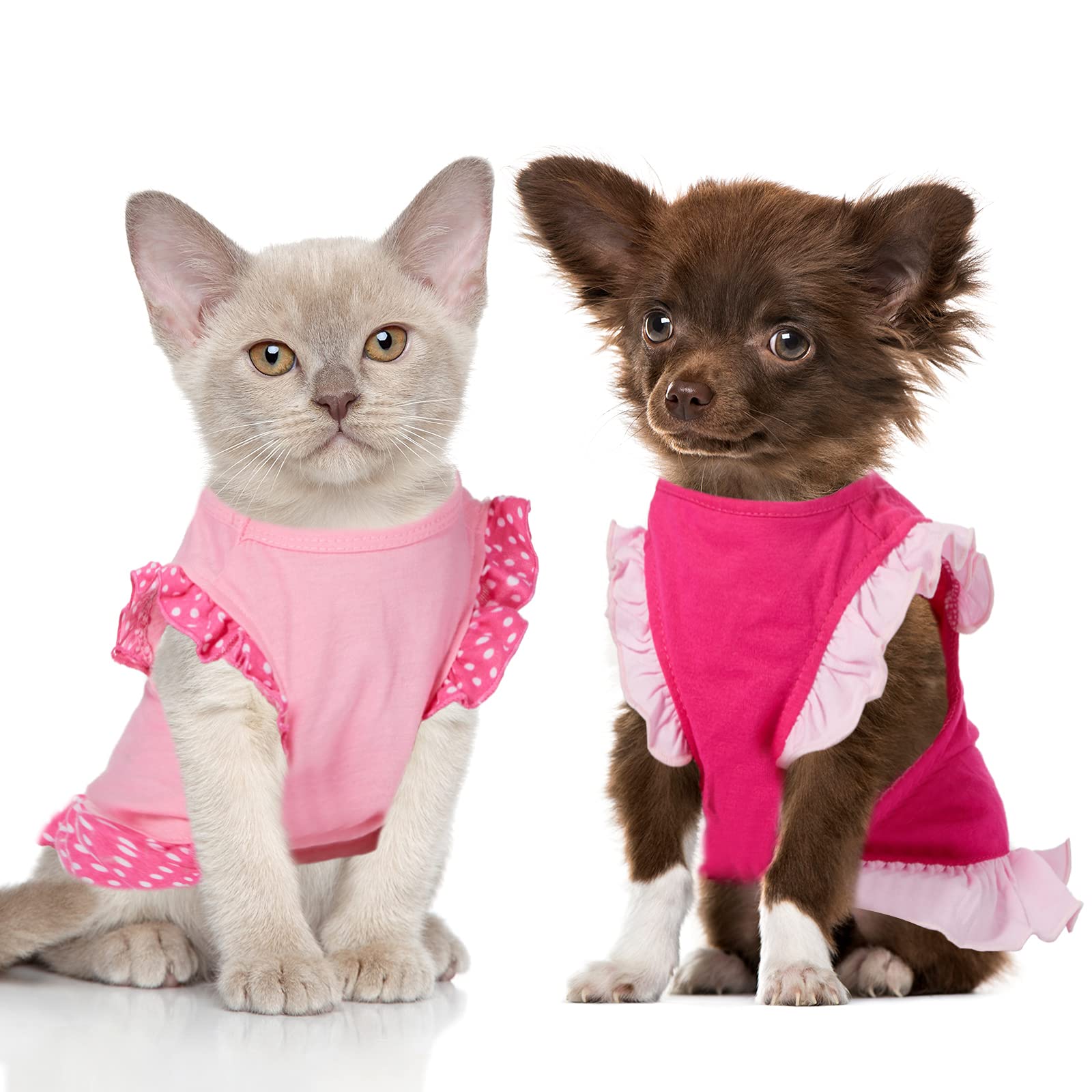 2 Pieces Dog Dresses For Small Dogs Cute Girl Female Dog Dress Mommy Puppy Shirt Skirt Doggie Dresses Pet Summer Clothes Apparel For Dogs And Cats (Omg And Angel,Small)