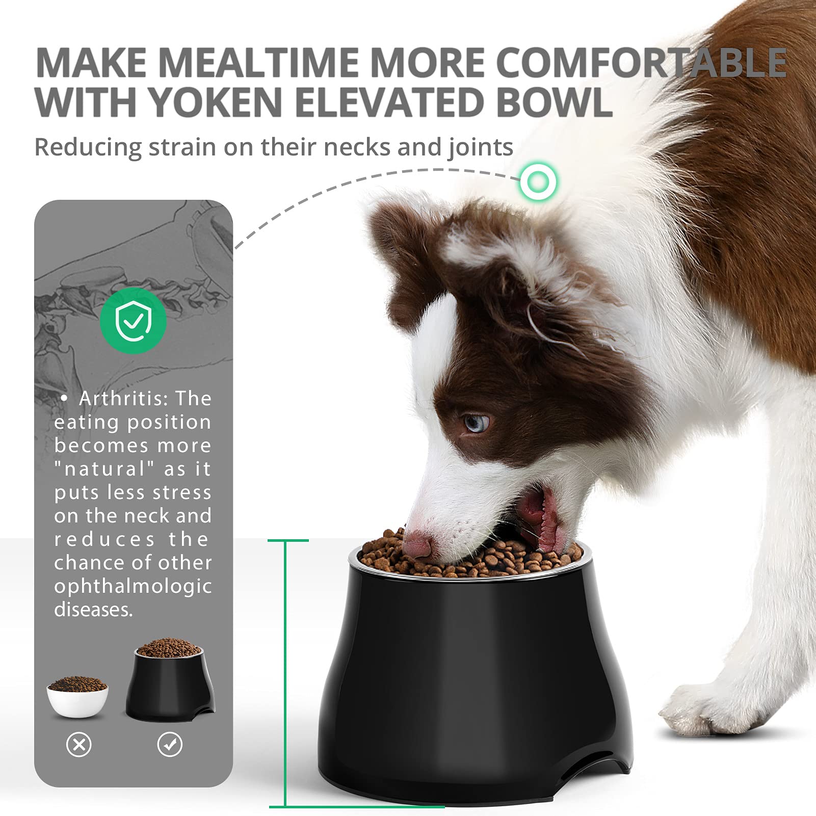 yoken Elevated Dog Bowls,[Prevention of Vertebrae Disease] Non-Slip,Stainless Steel Bowl,High Capacity,for Medium/Small Size Dog