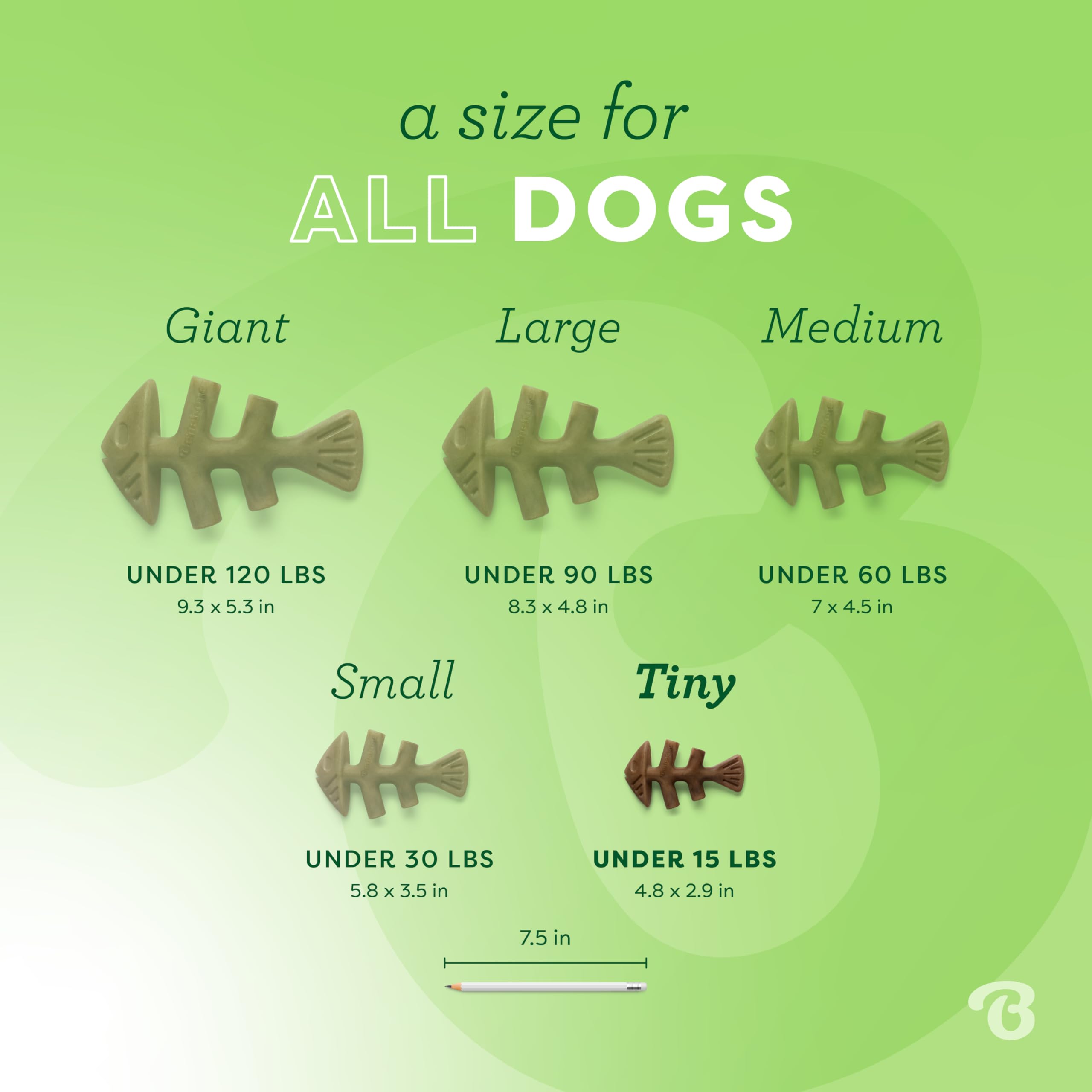 Benebone Tiny 2-Pack Fishbone Durable Dog Chew Toys, Real Fish Flavor, Made In Usa