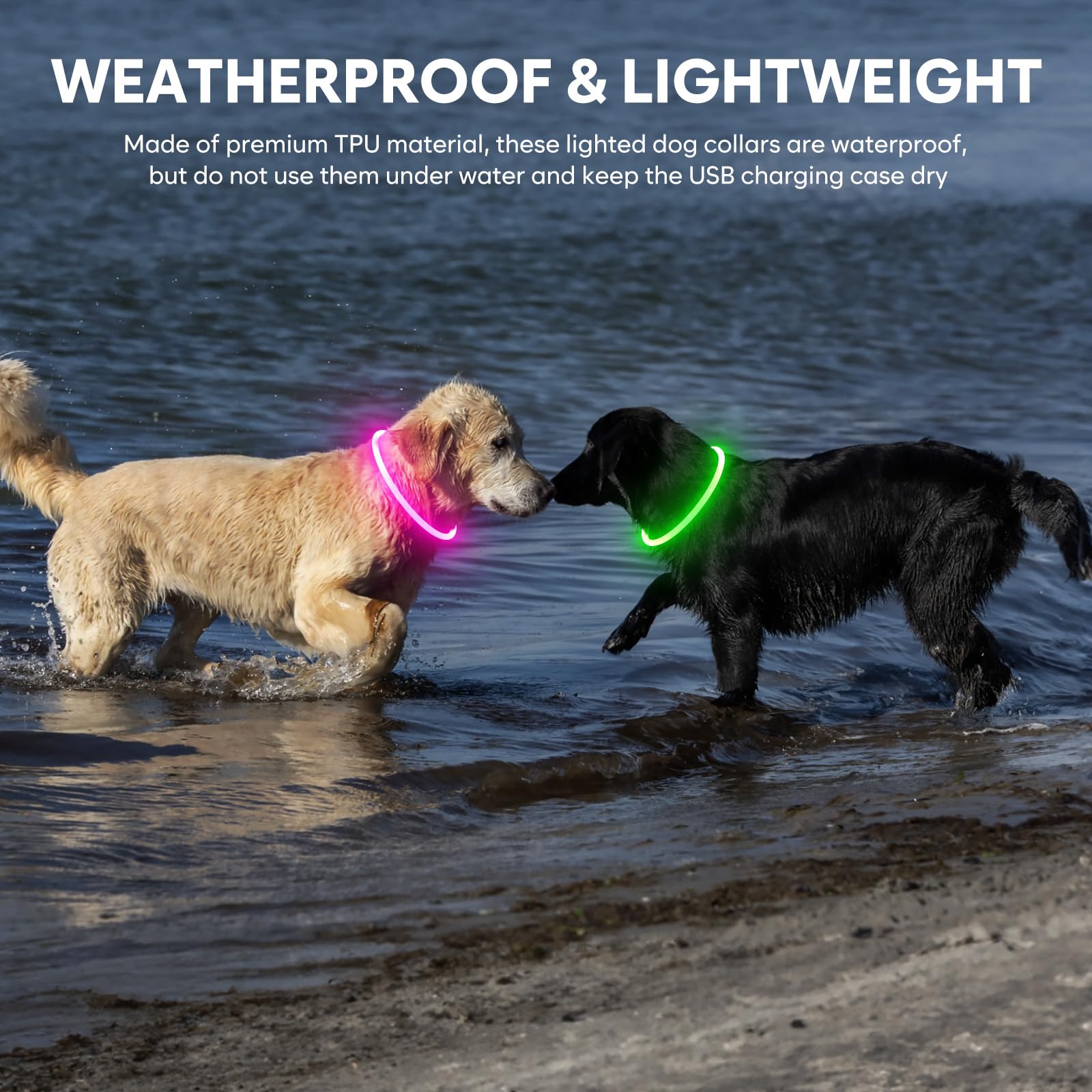 Domagiker Led Dog Collar - Waterproof Lighted Pet Collar Rechargeable For Night, Tpu Cuttable Light Up Doggie Collar For Small,